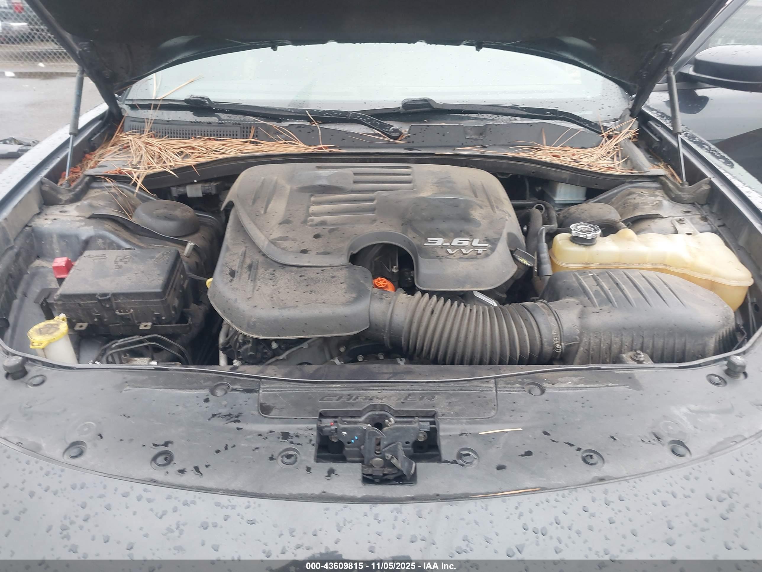 DODGE CHARGER image 10