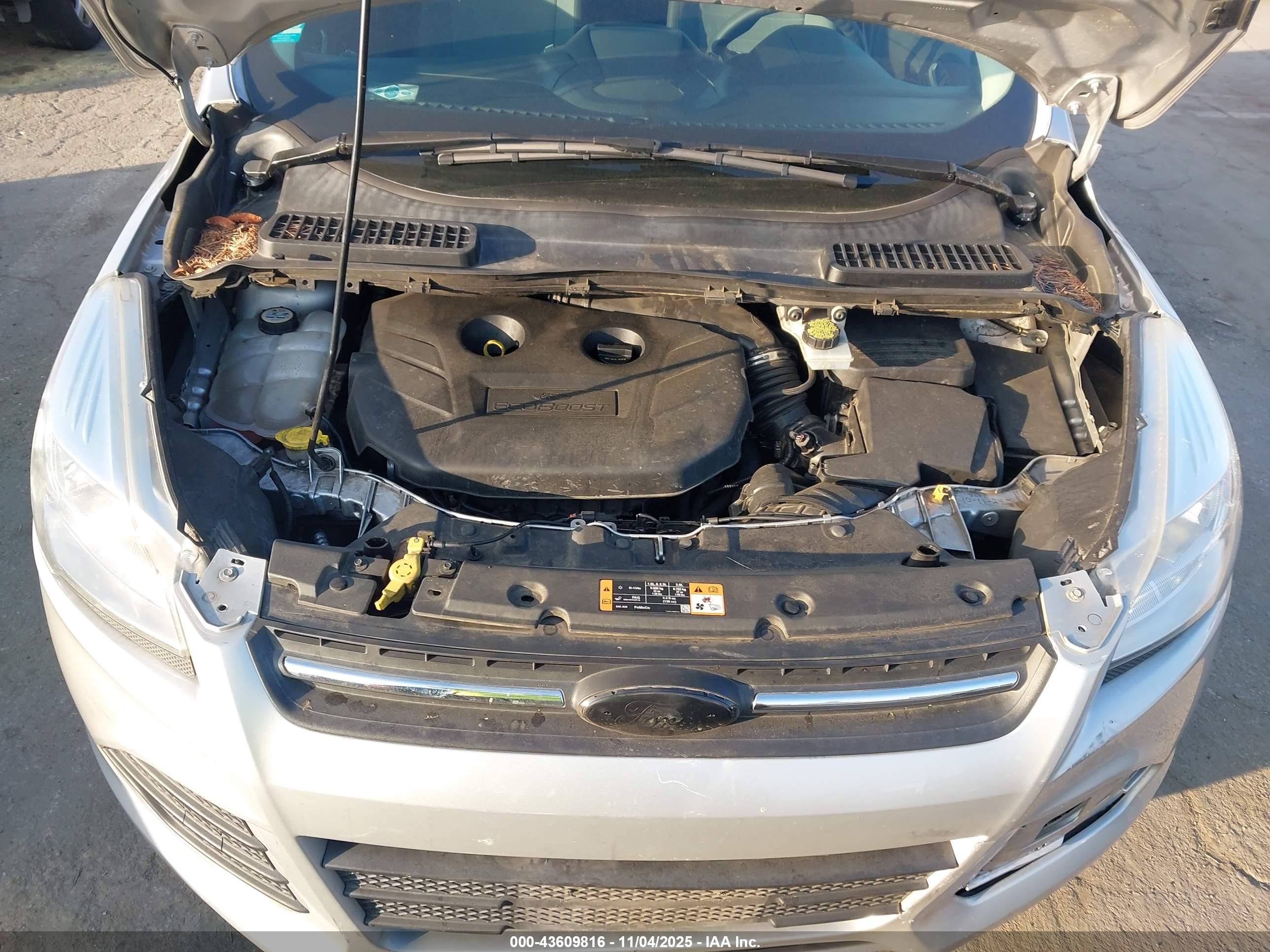FORD ESCAPE image 10