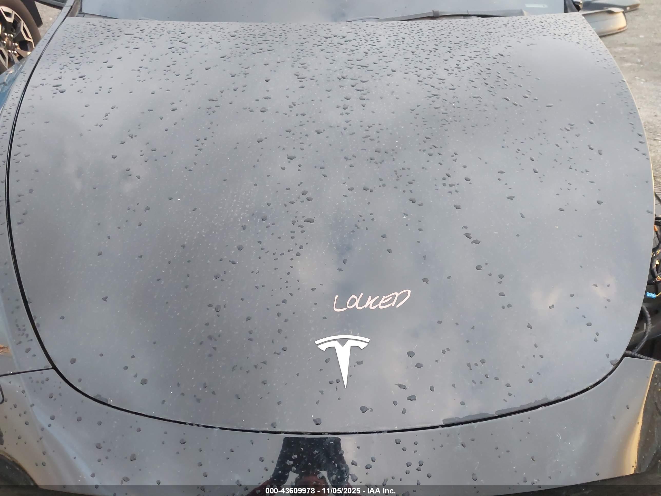 TESLA MODEL image 10