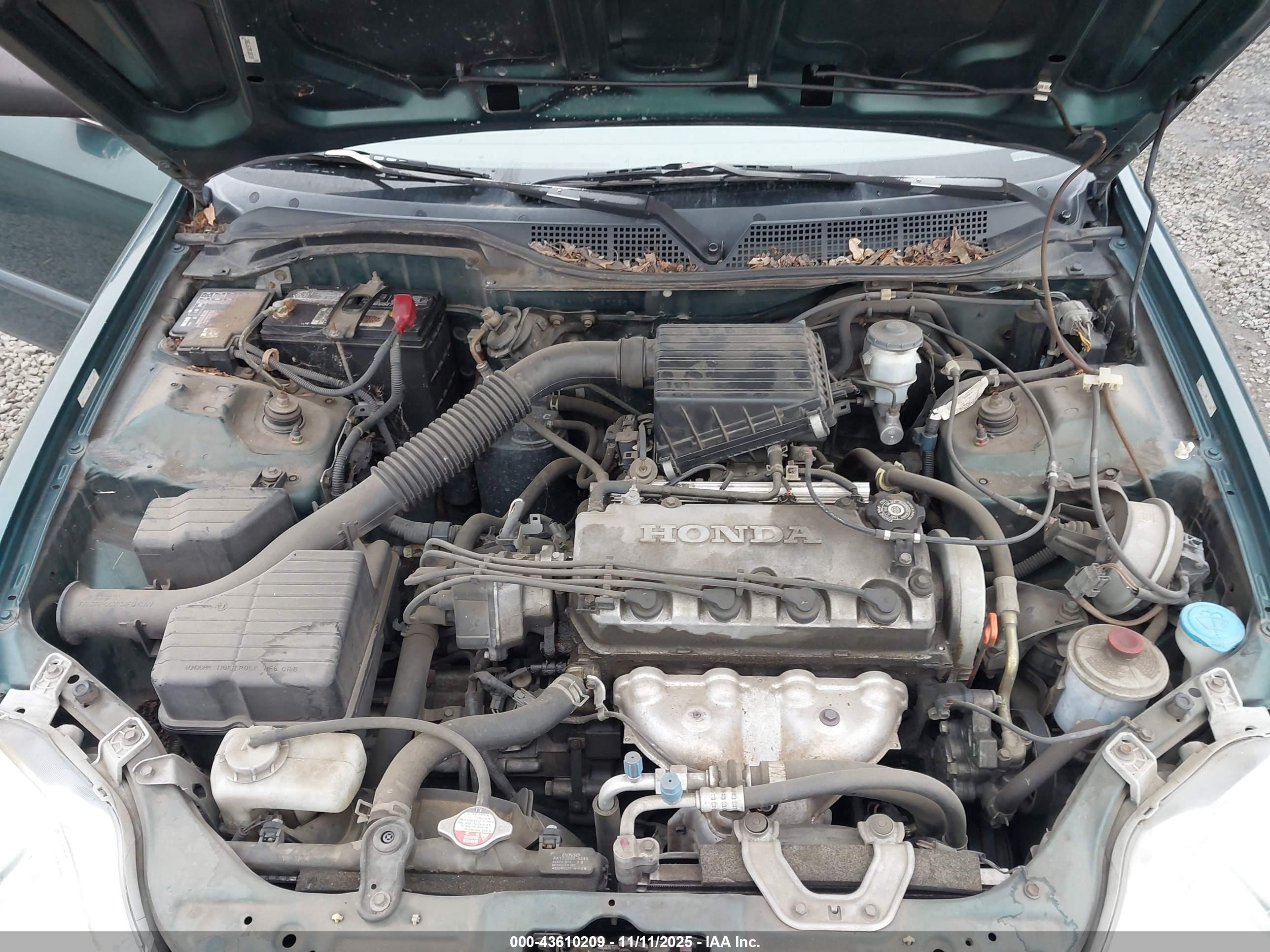 HONDA CIVIC image 10