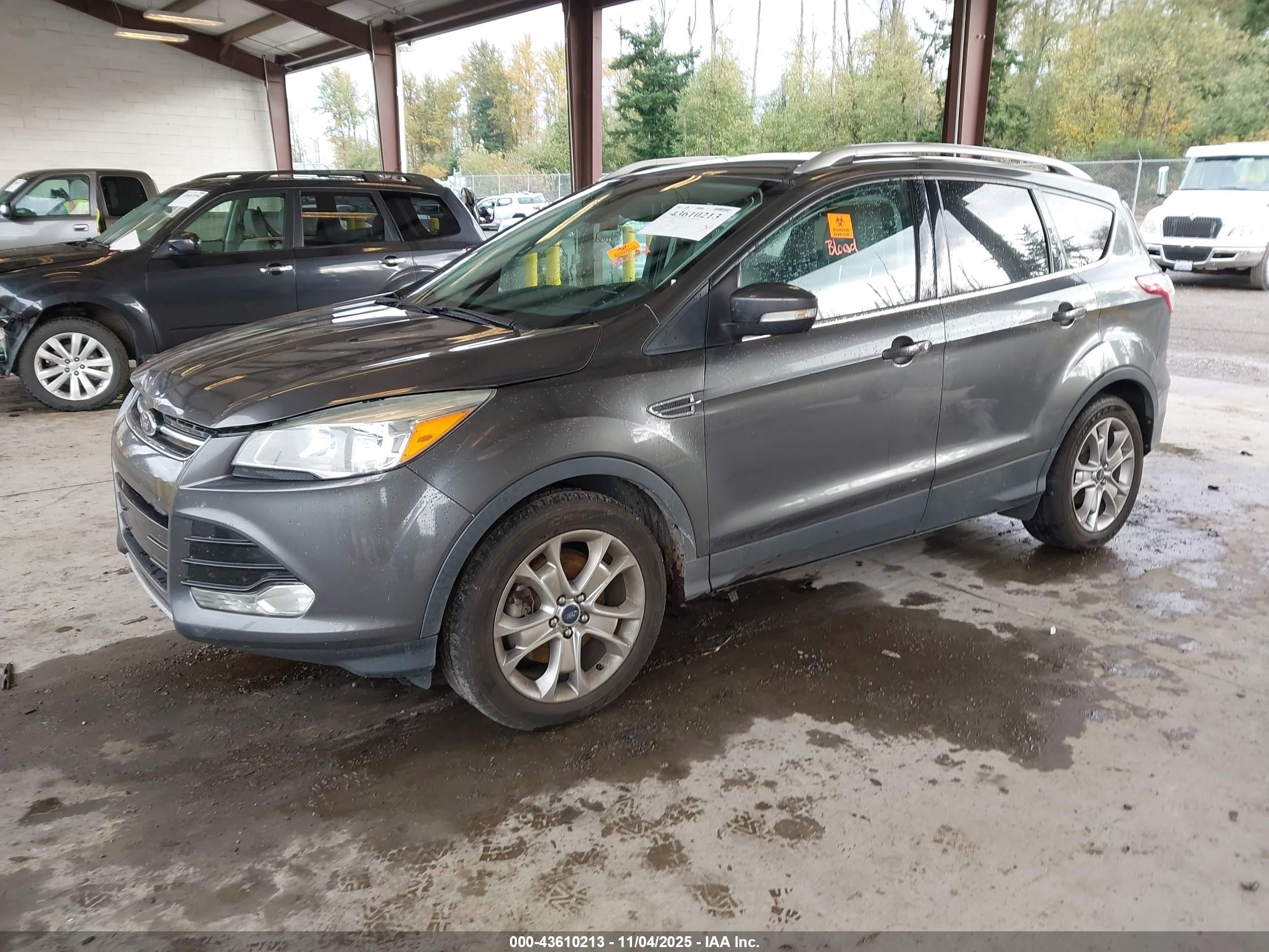 FORD ESCAPE image 2