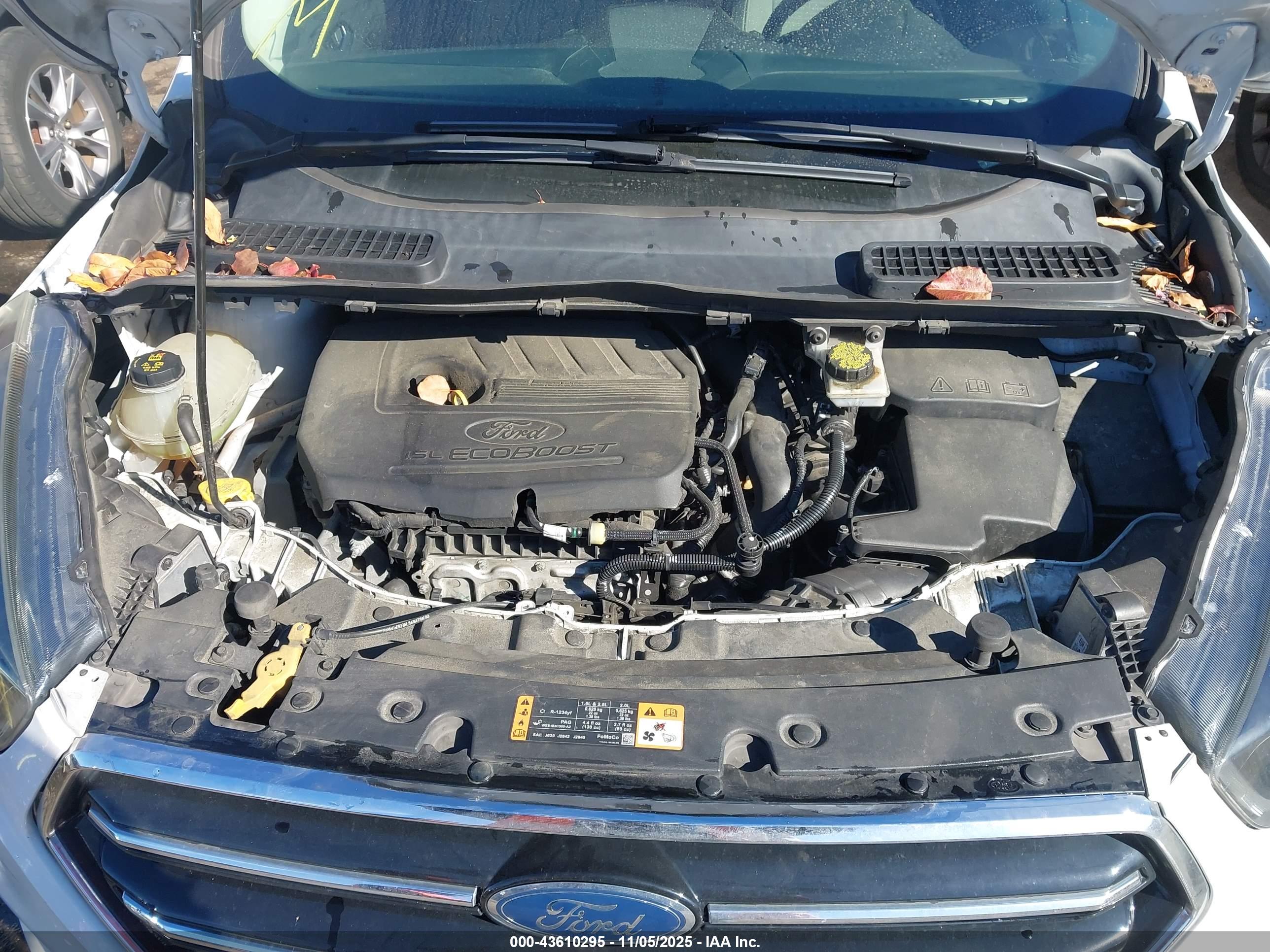 FORD ESCAPE image 10