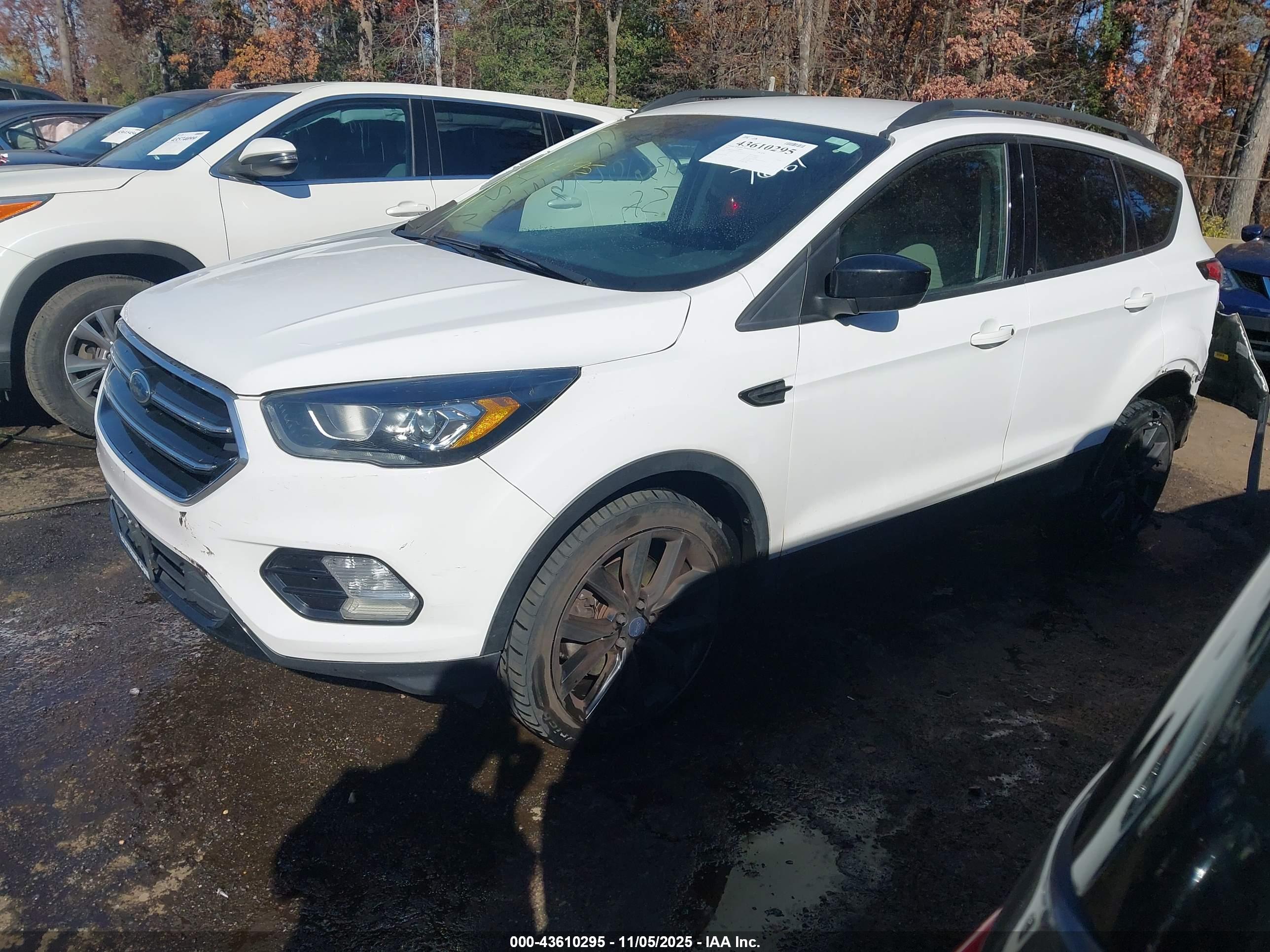 FORD ESCAPE image 2