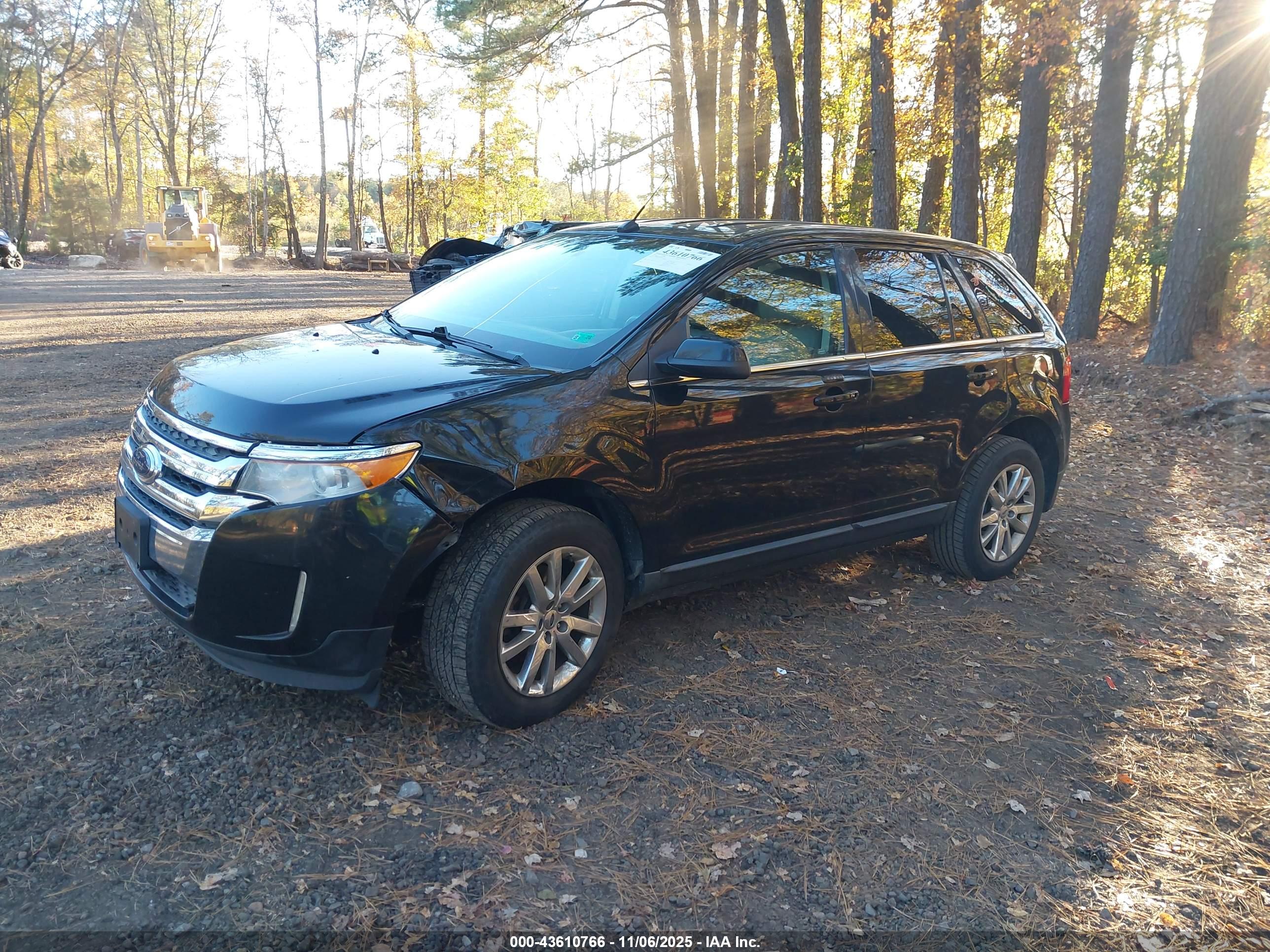 FORD EDGE image 2