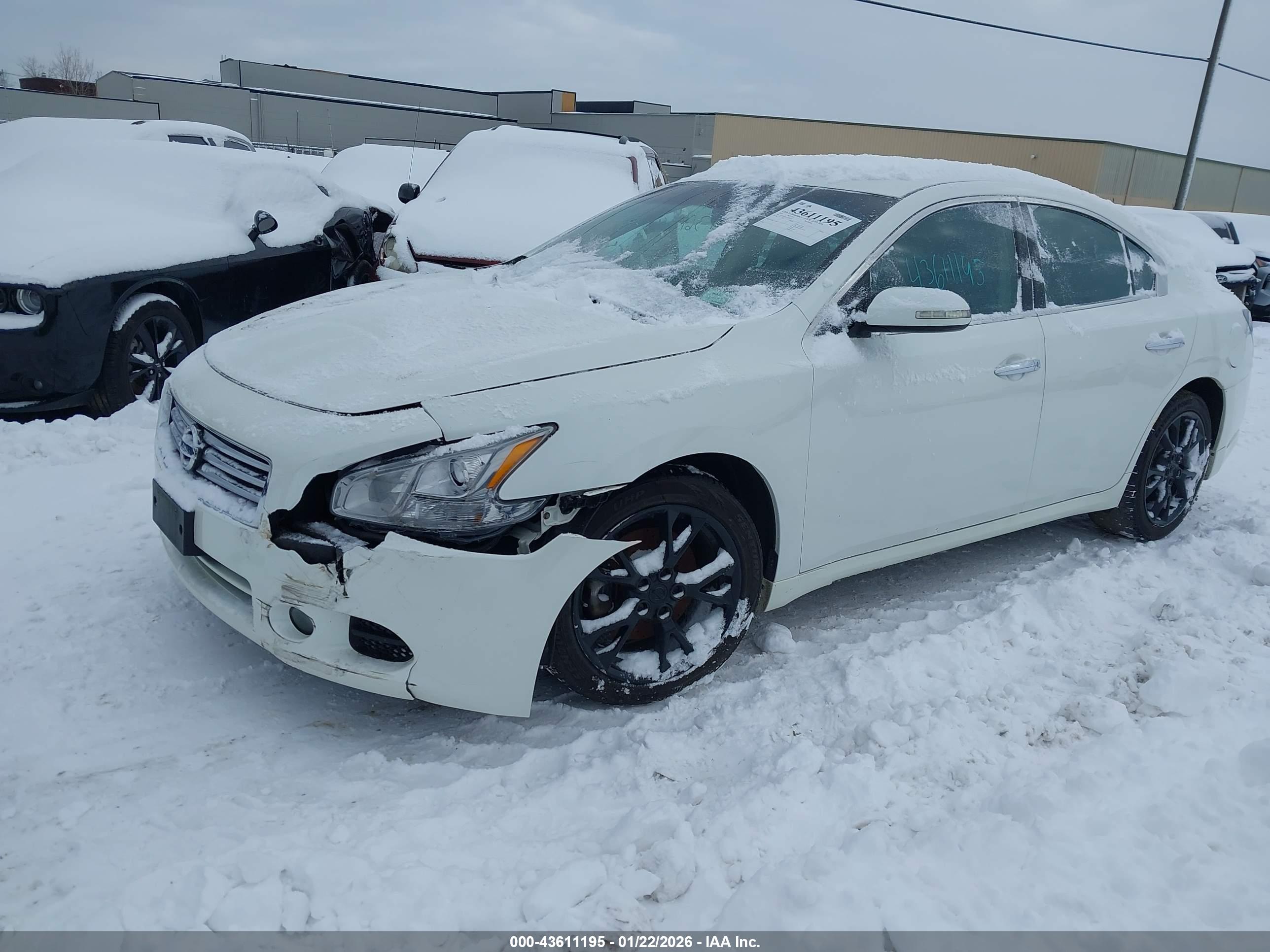 NISSAN MAXIMA image 2