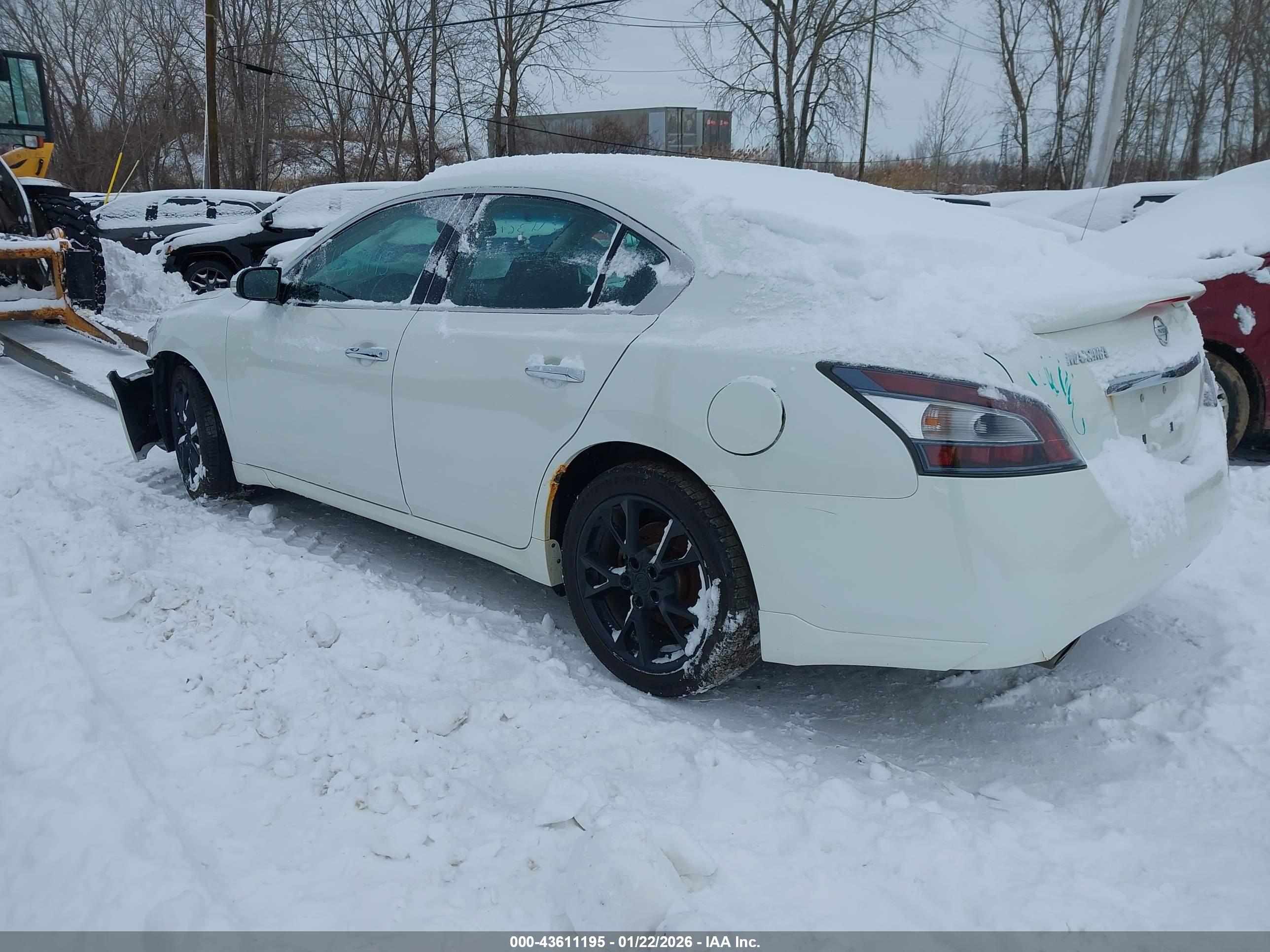 NISSAN MAXIMA image 3