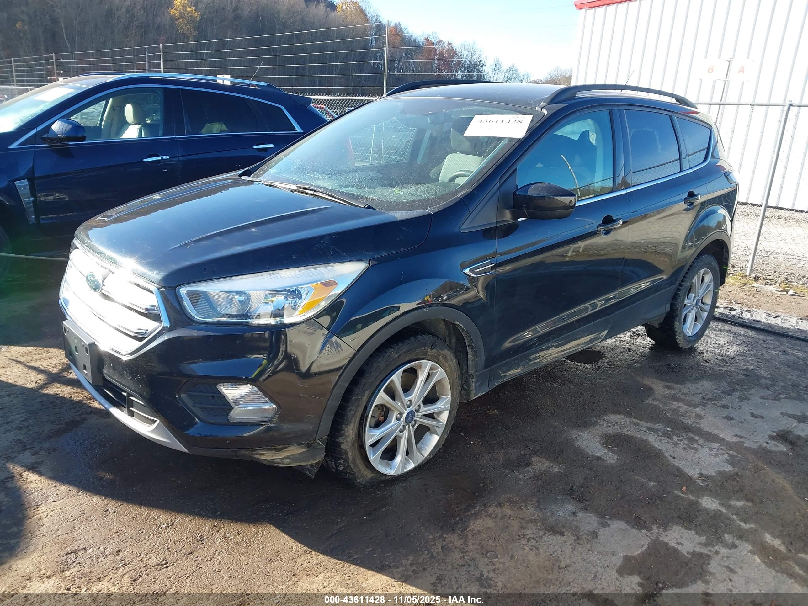 FORD ESCAPE image 2