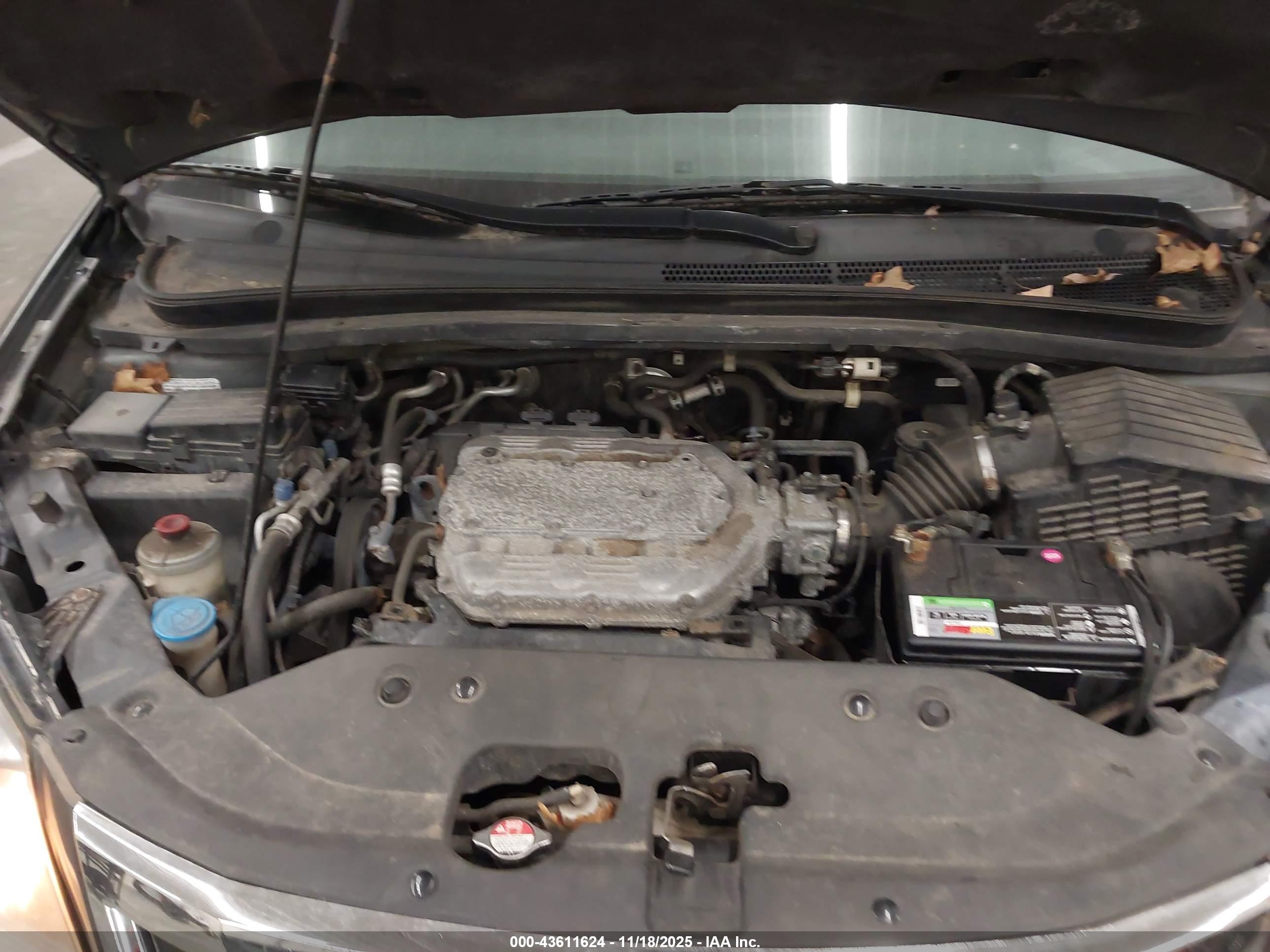 HONDA ODYSSEY image 10