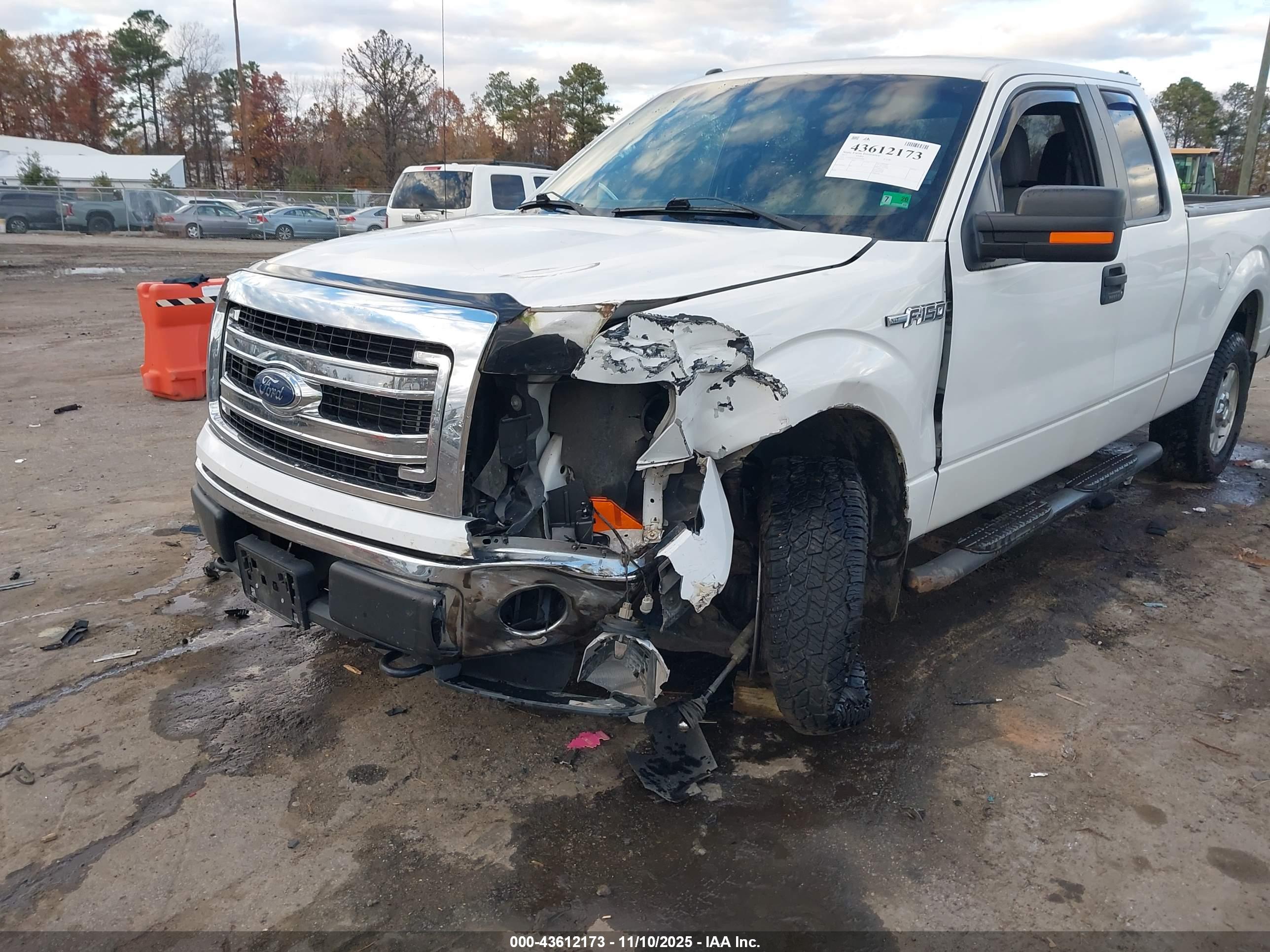 FORD F-150 image 6