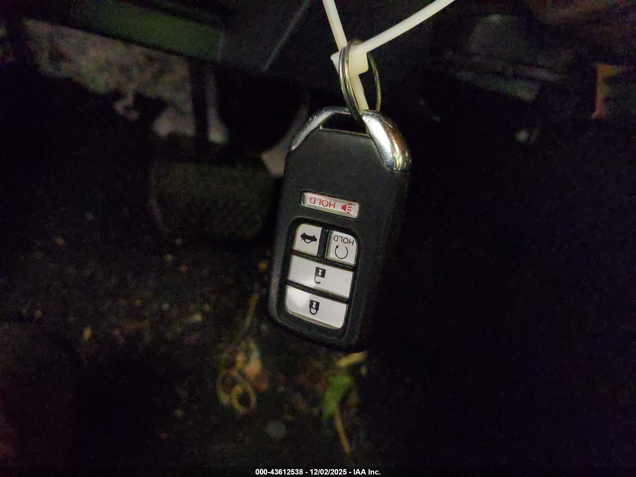 HONDA ACCORD image 11