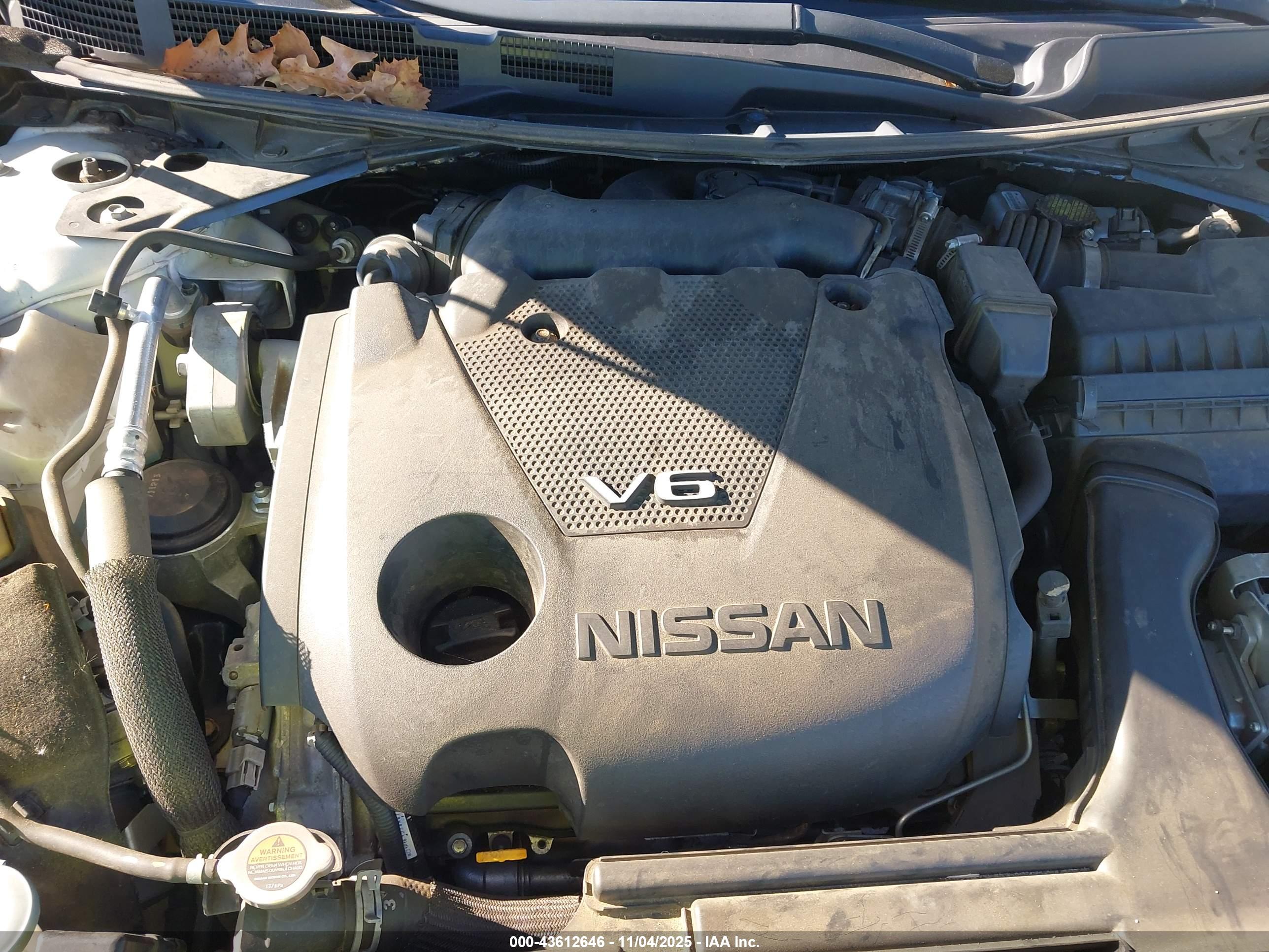 NISSAN MAXIMA image 10