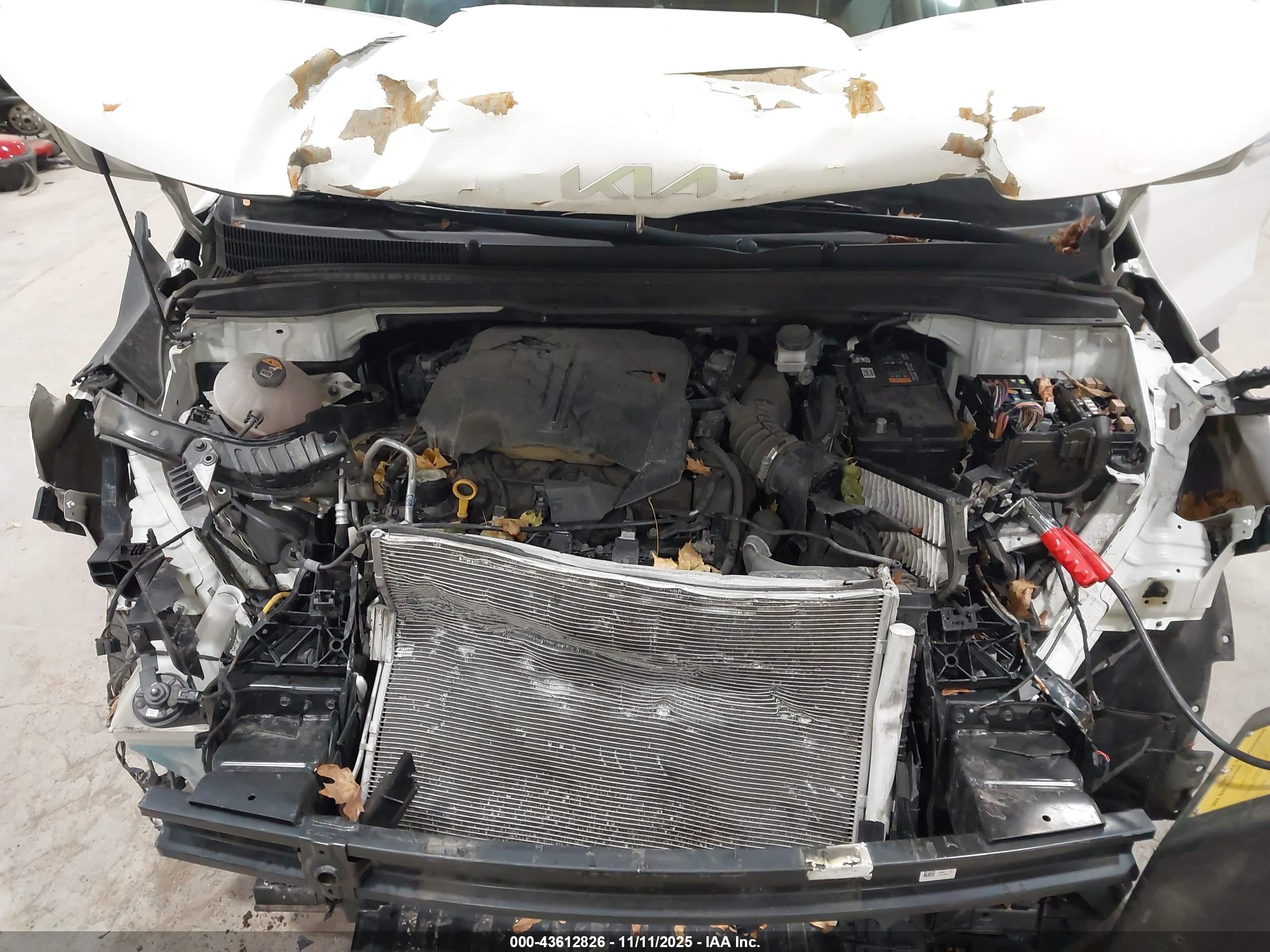 KIA CARNIVAL image 10