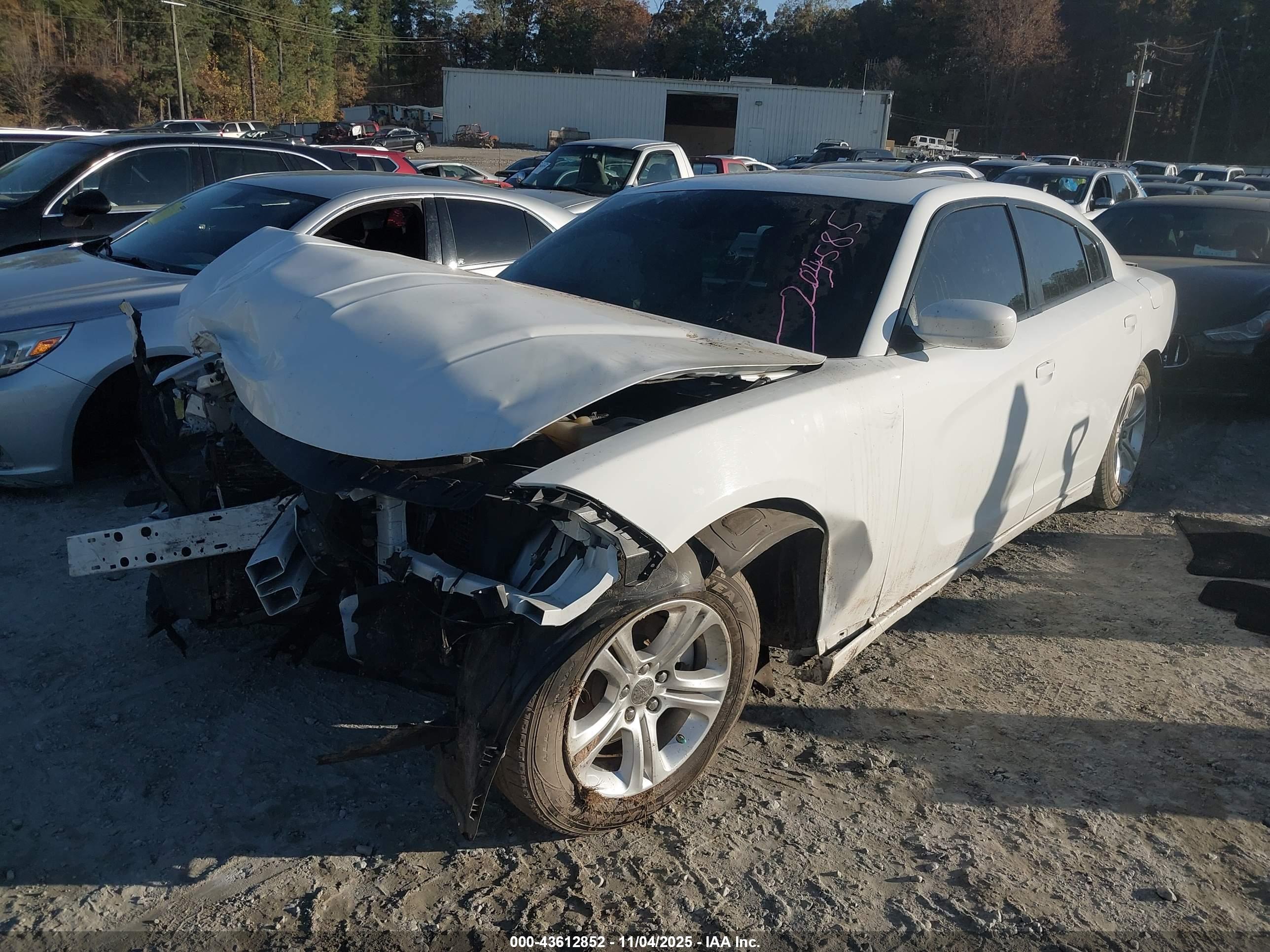 DODGE CHARGER image 2