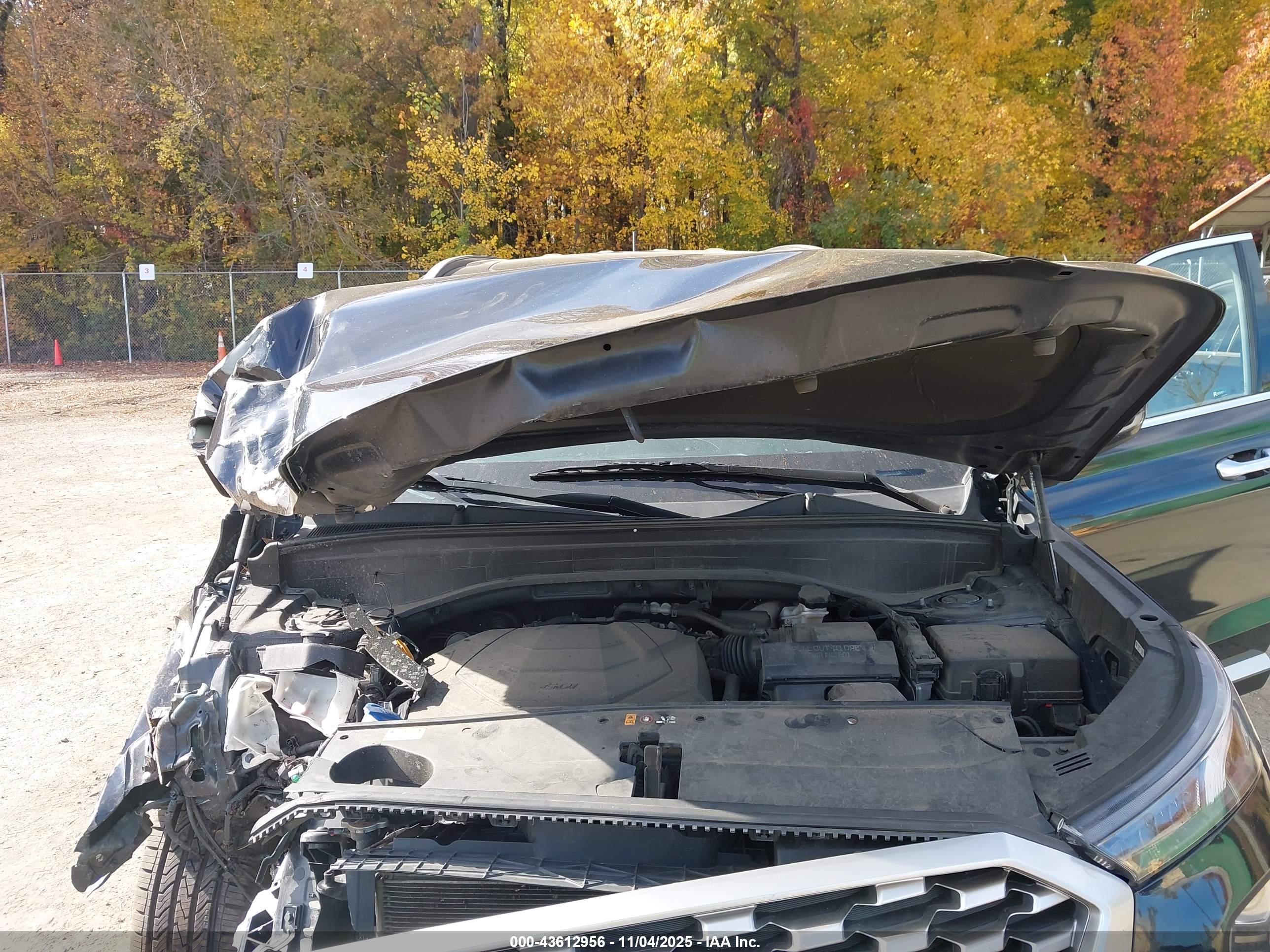 HYUNDAI PALISADE image 10