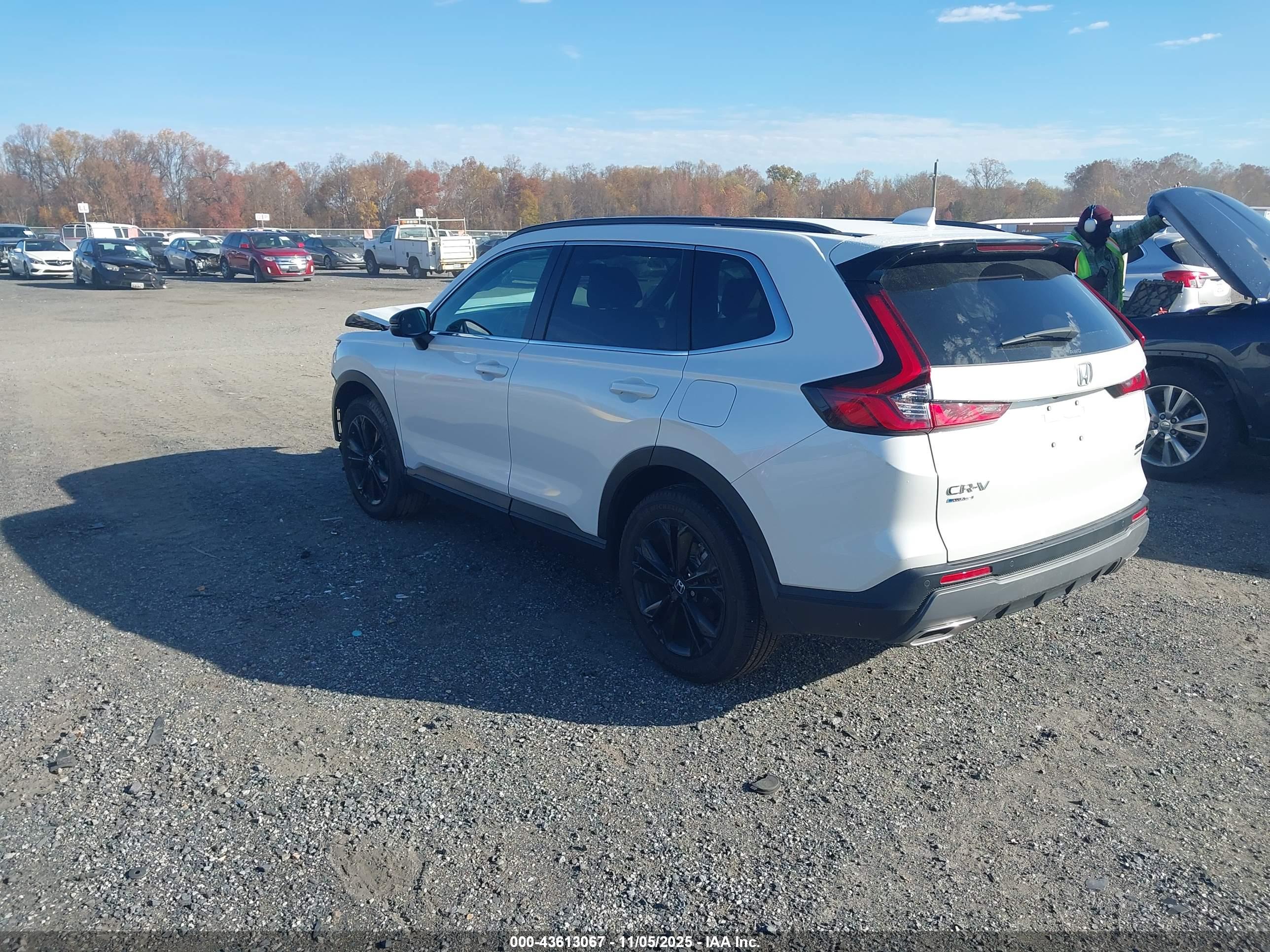HONDA CR-V image 3