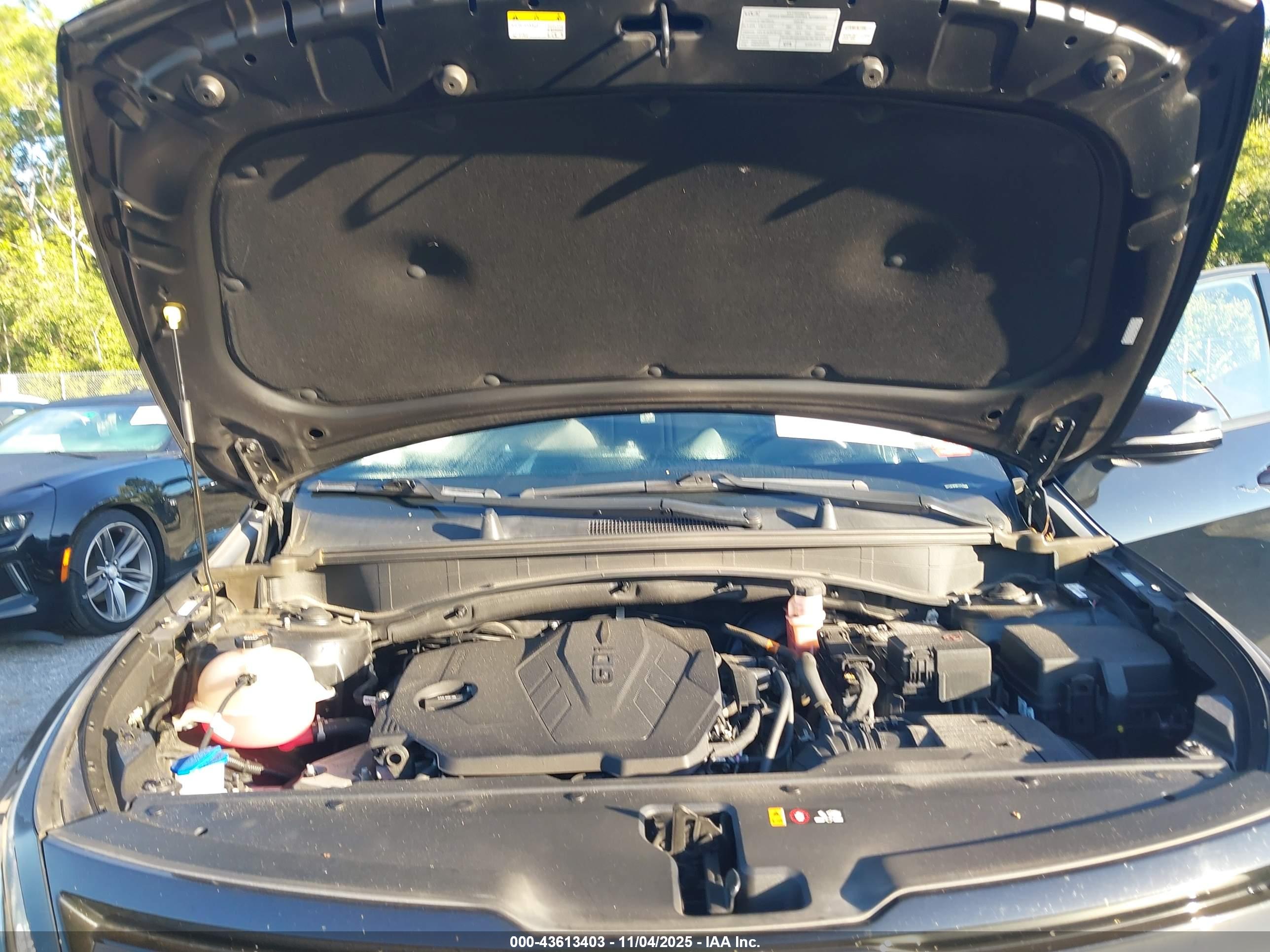 KIA SPORTAGE image 10