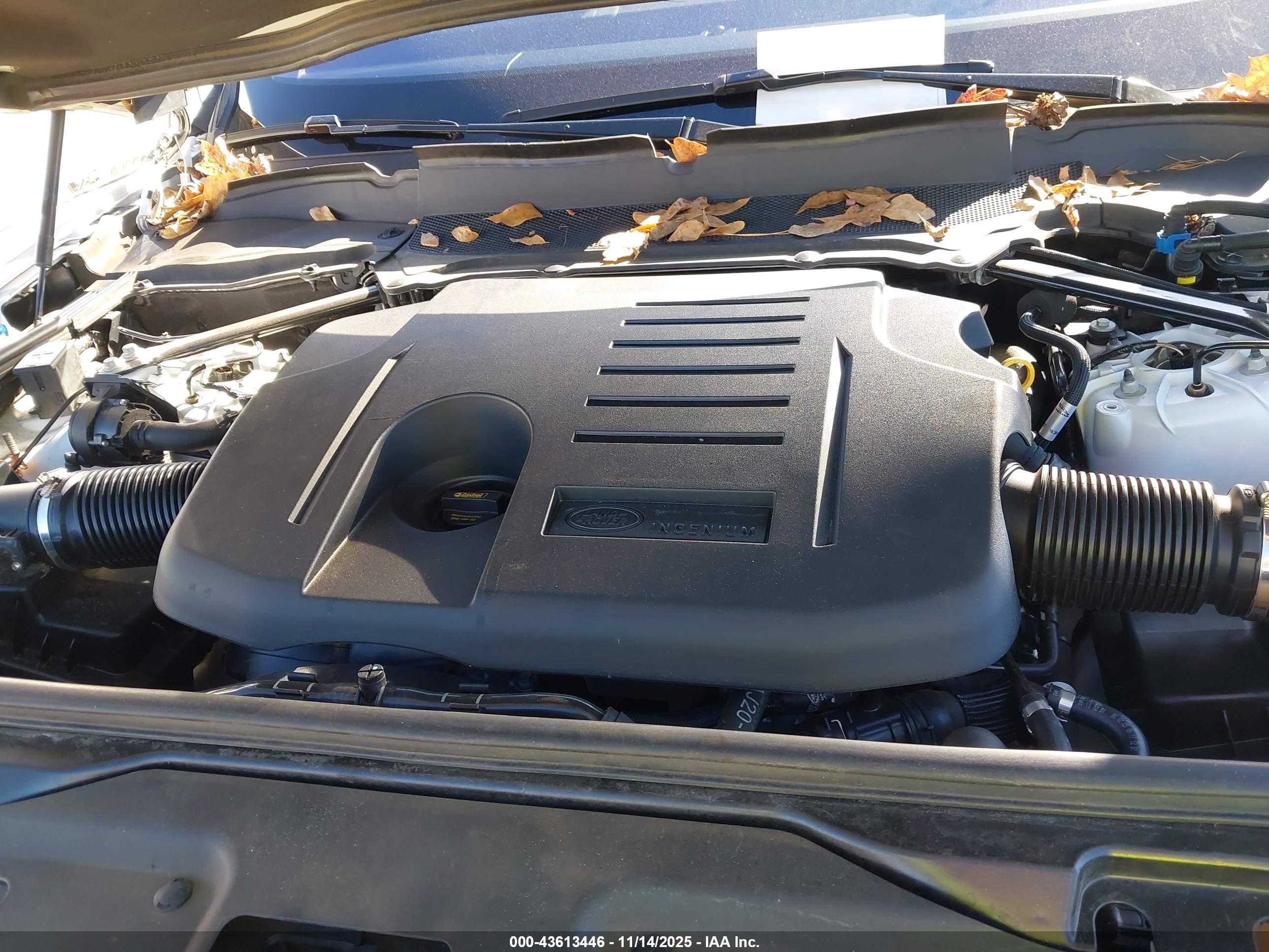 LAND ROVER image 10