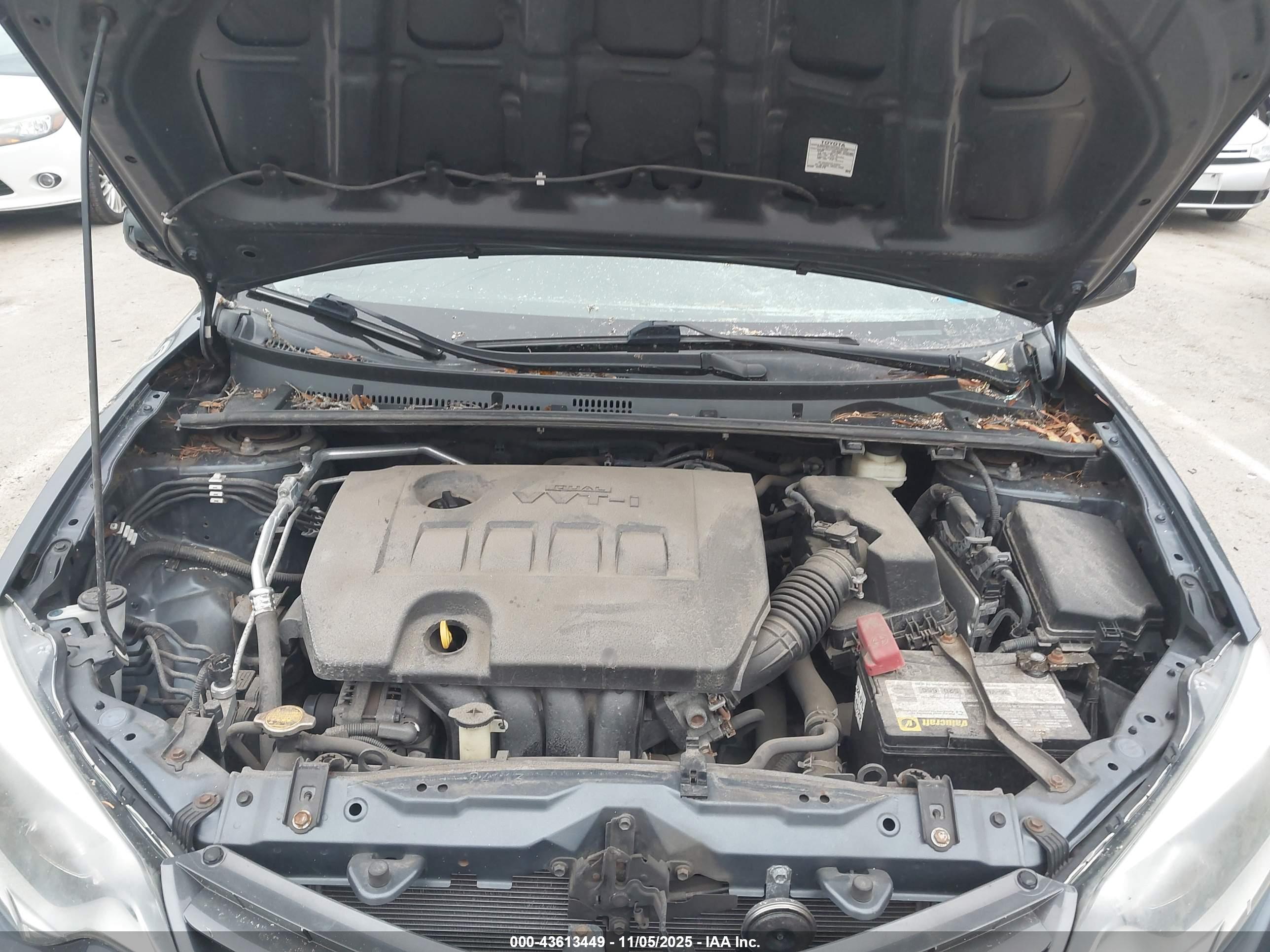 TOYOTA COROLLA image 10