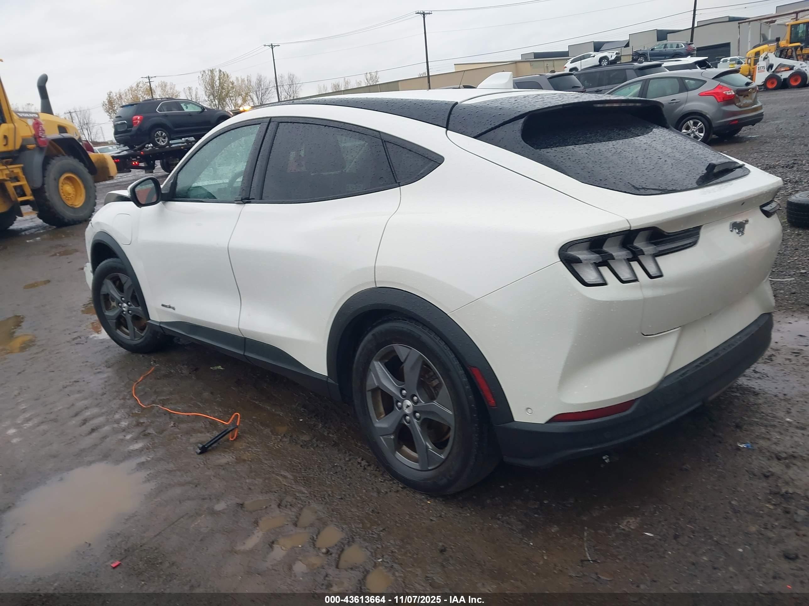 FORD MUSTANG image 3