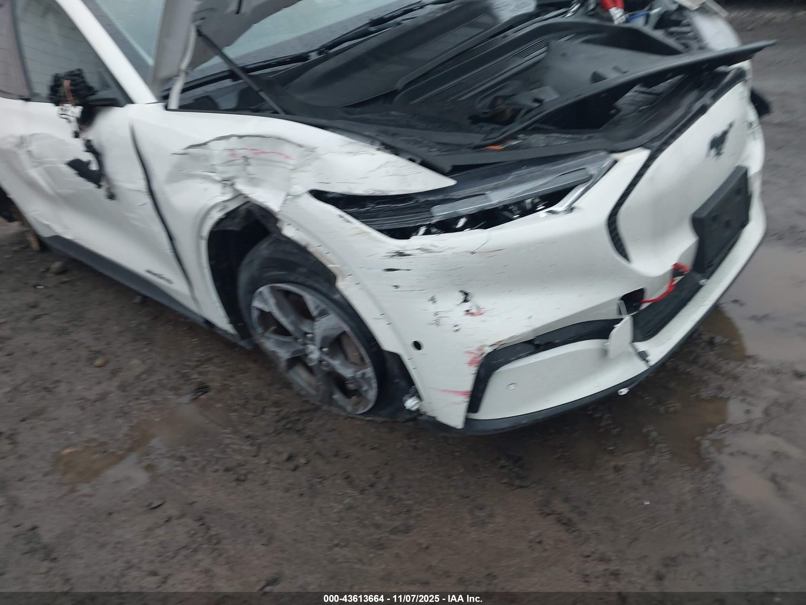 FORD MUSTANG image 6