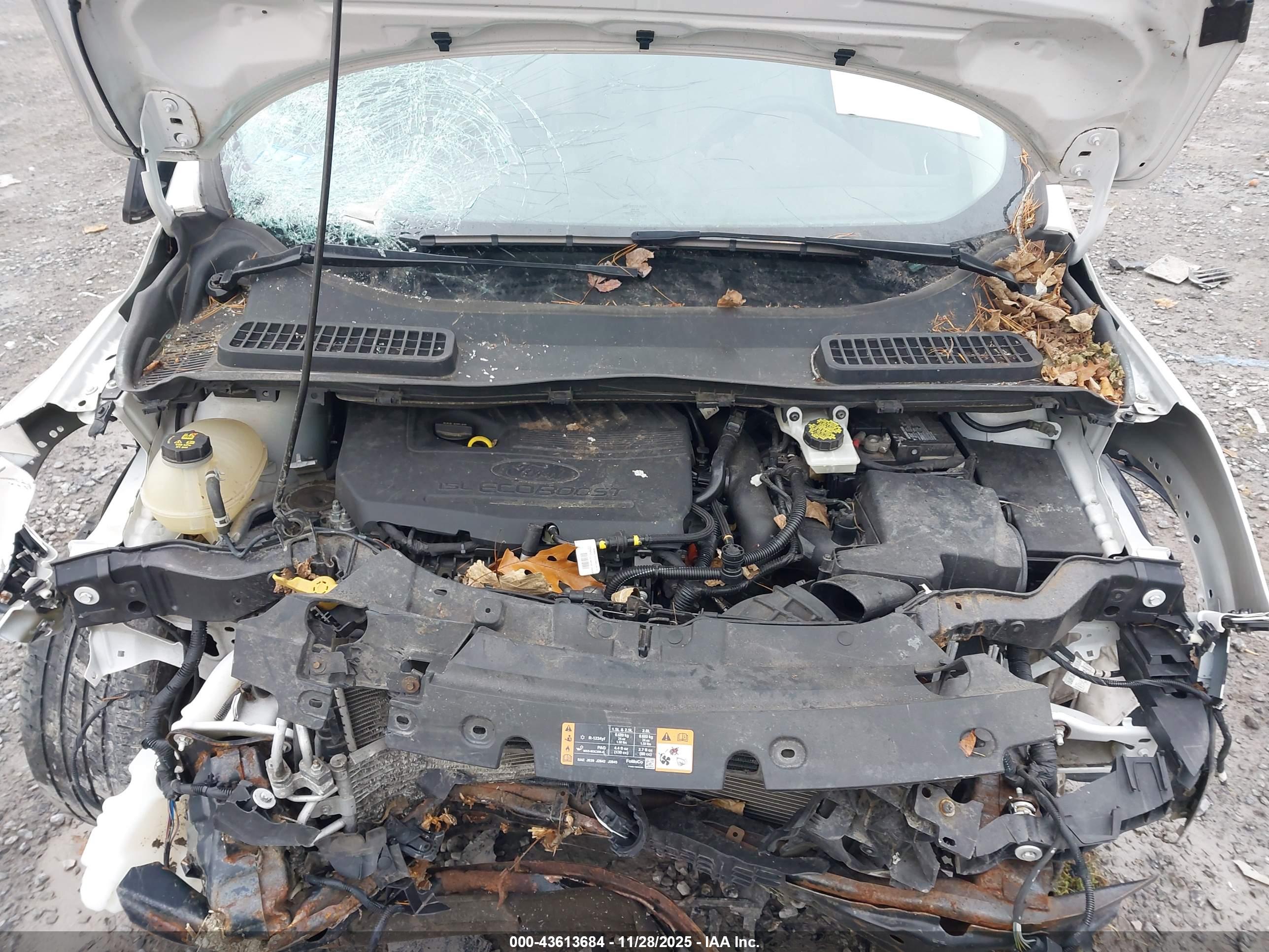 FORD ESCAPE image 10