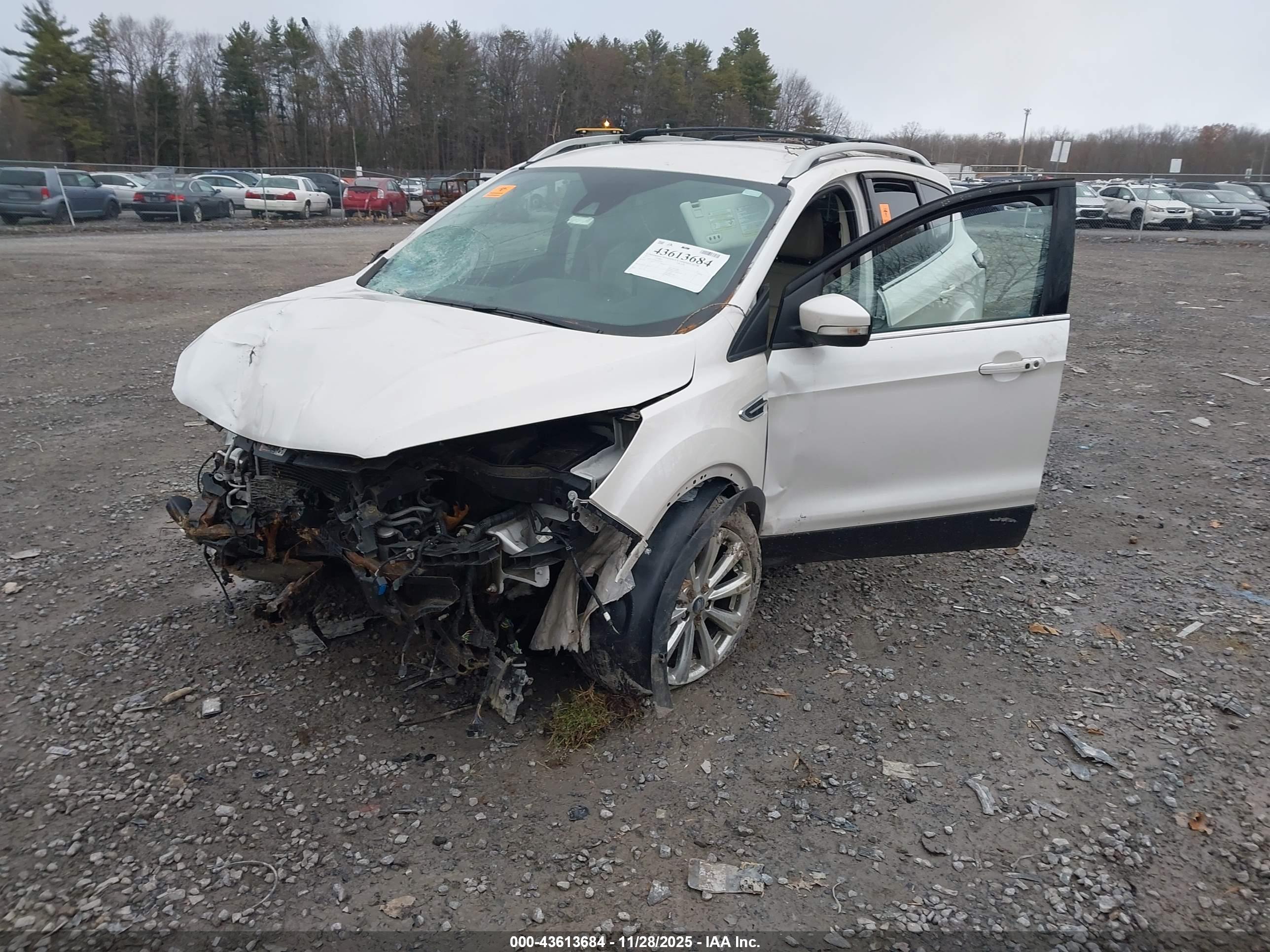 FORD ESCAPE image 2
