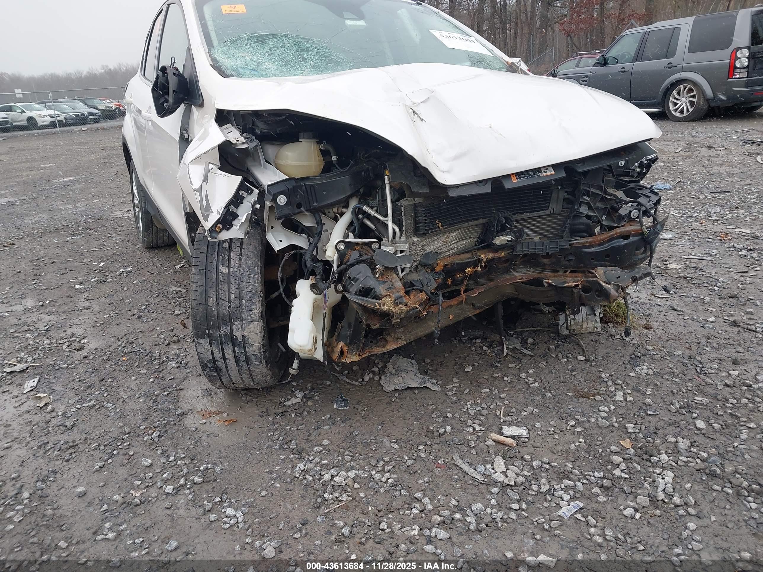 FORD ESCAPE image 6