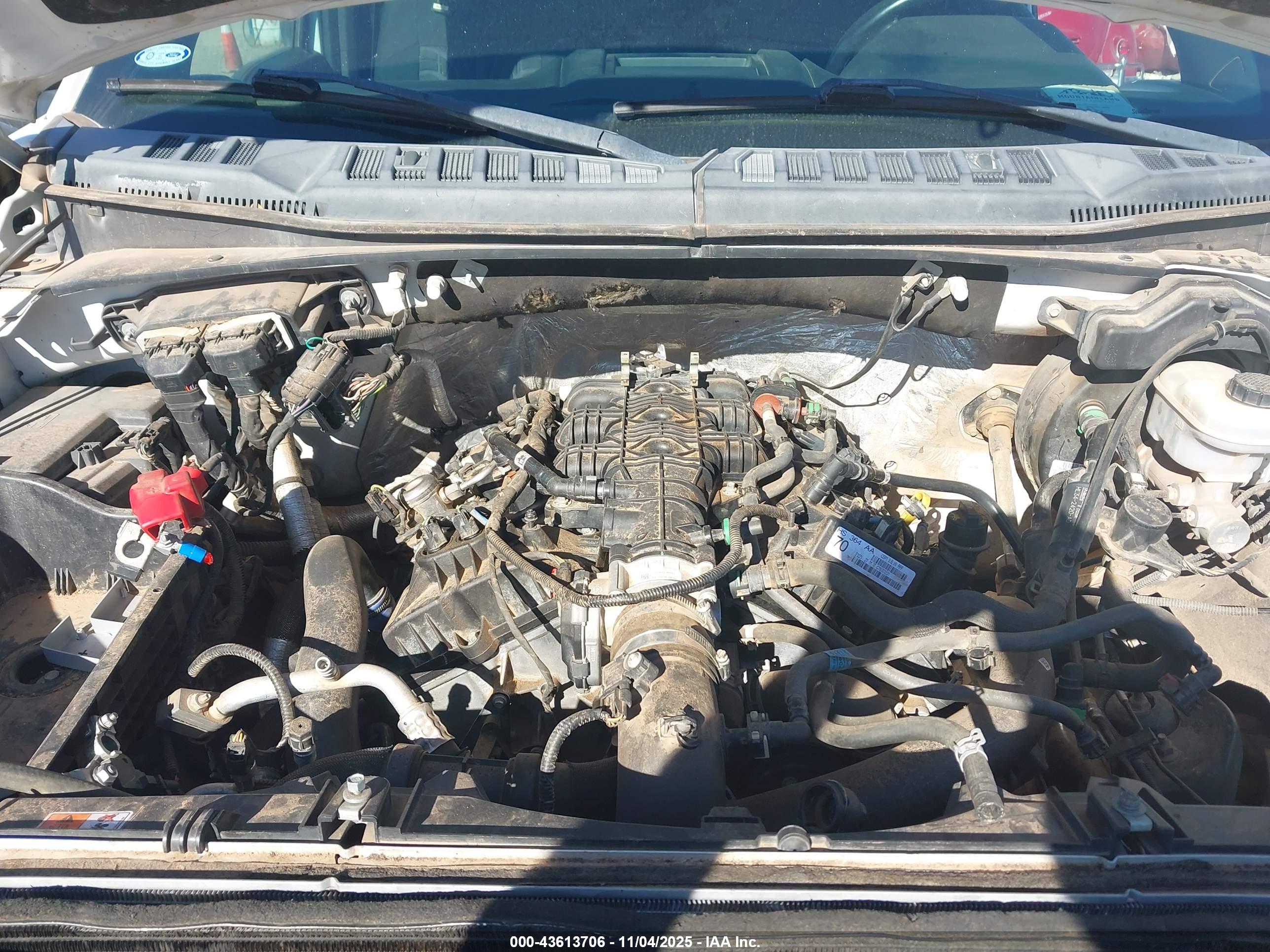 FORD F-150 image 10