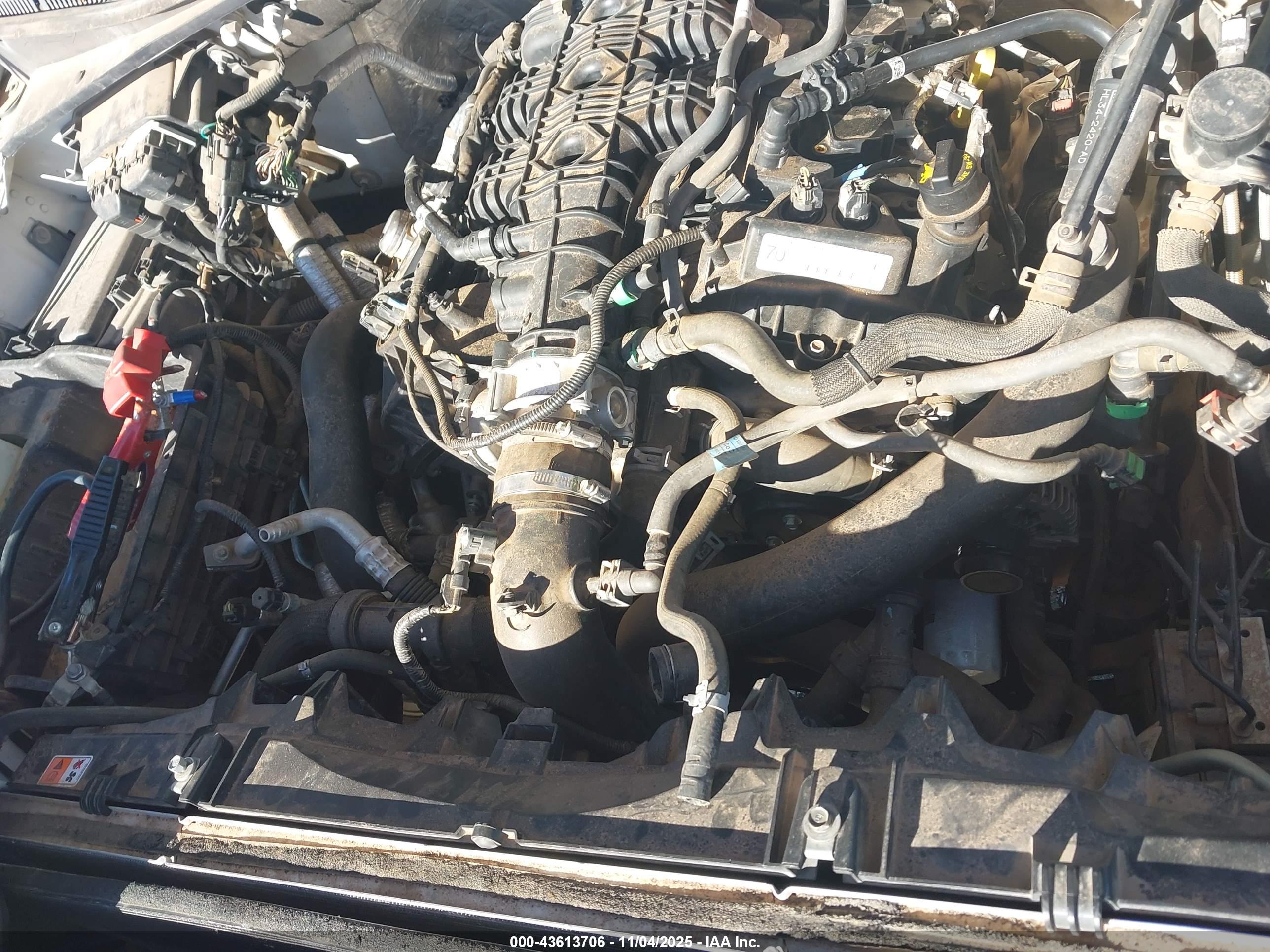 FORD F-150 image 6