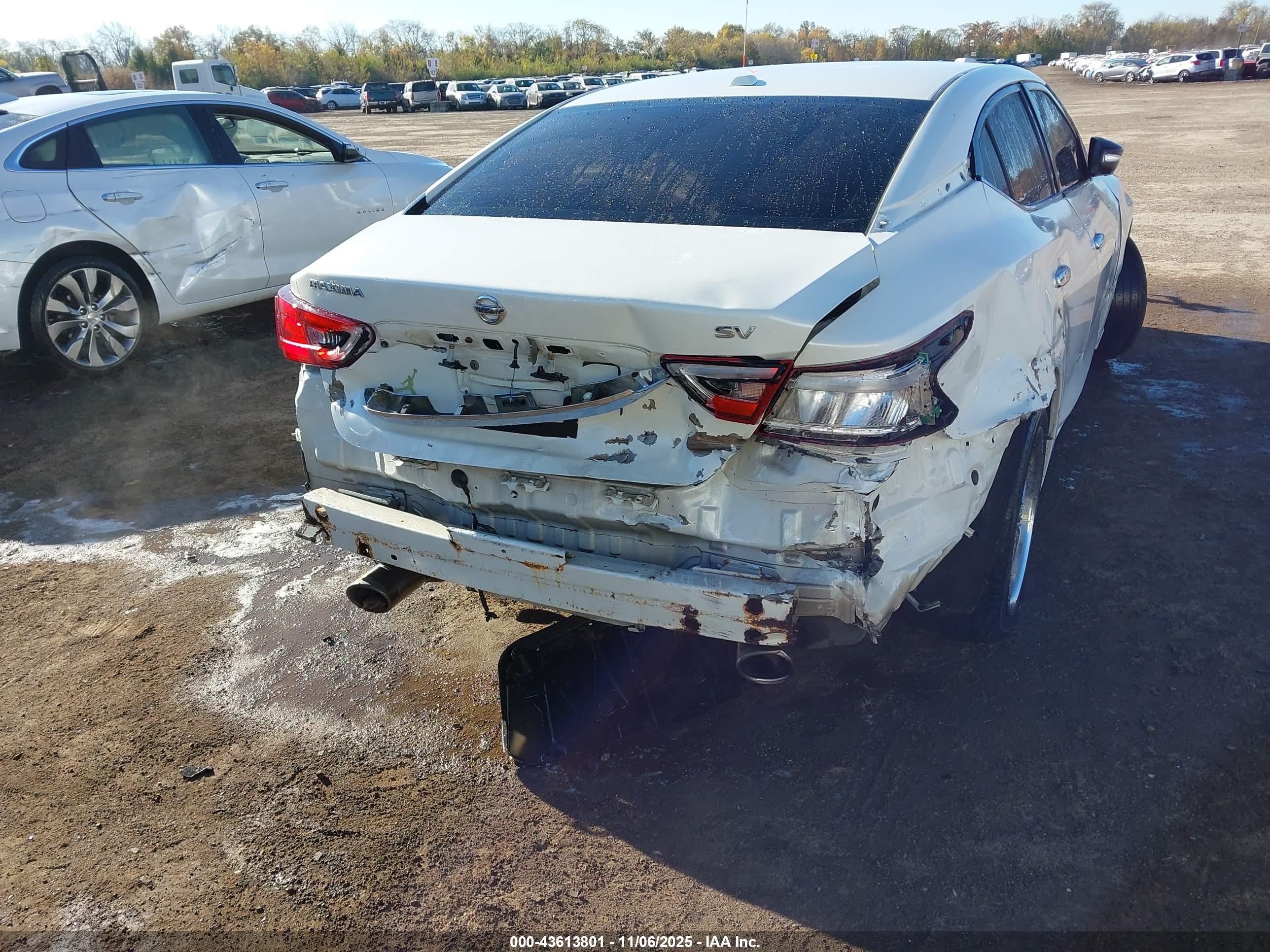 NISSAN MAXIMA image 6