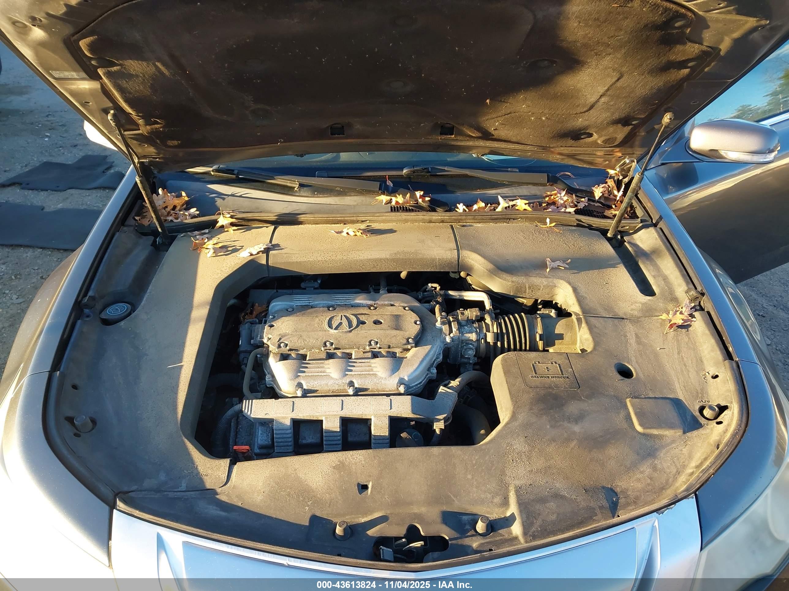 ACURA TL image 10