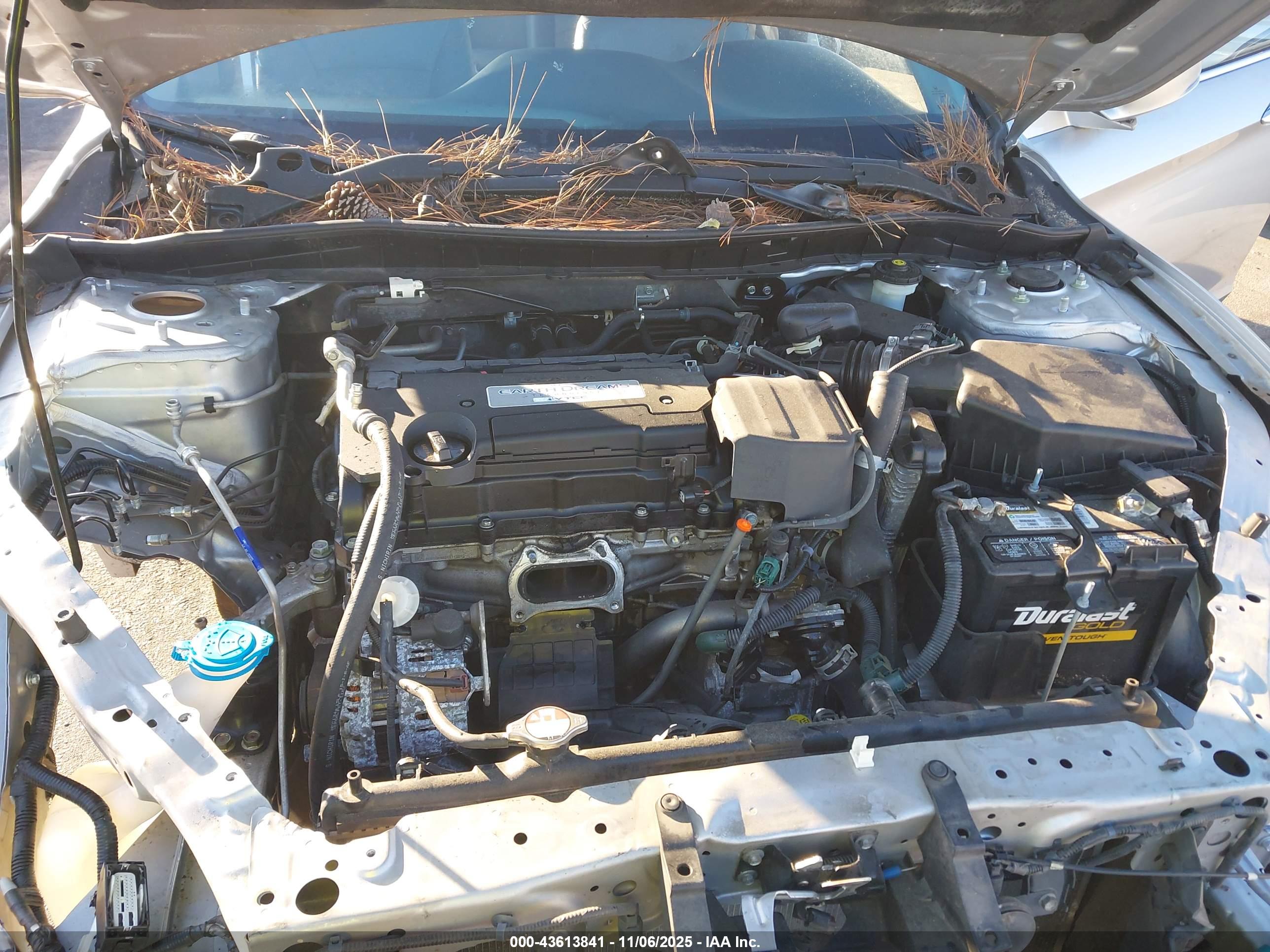 HONDA ACCORD image 10
