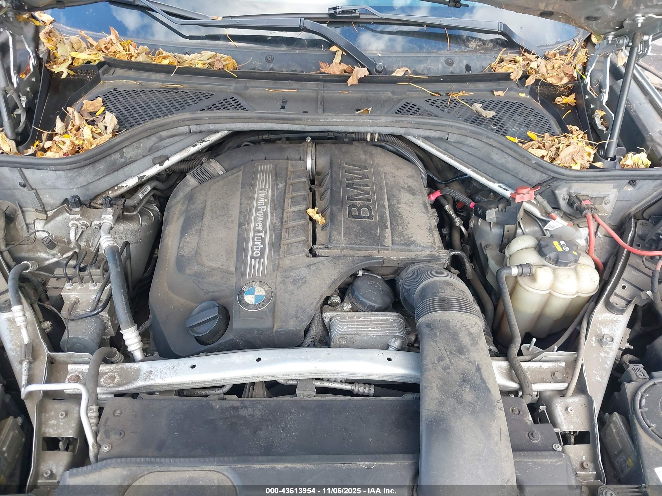 BMW X5 image 10