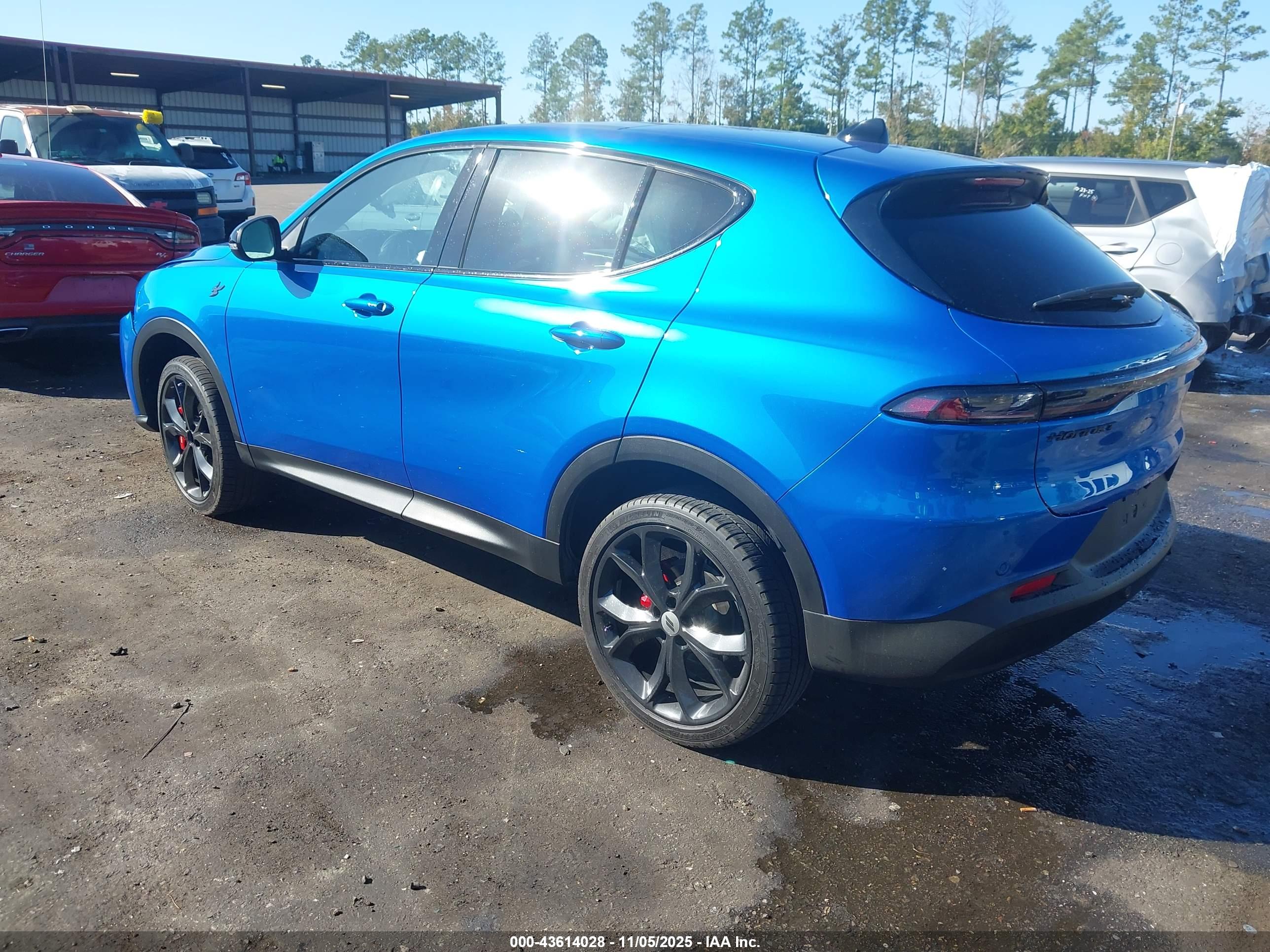 DODGE HORNET image 3