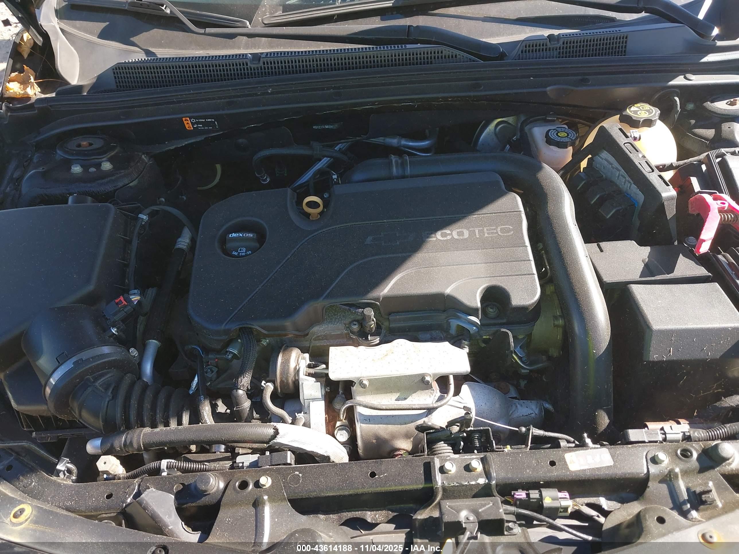 CHEVROLET MALIBU image 10