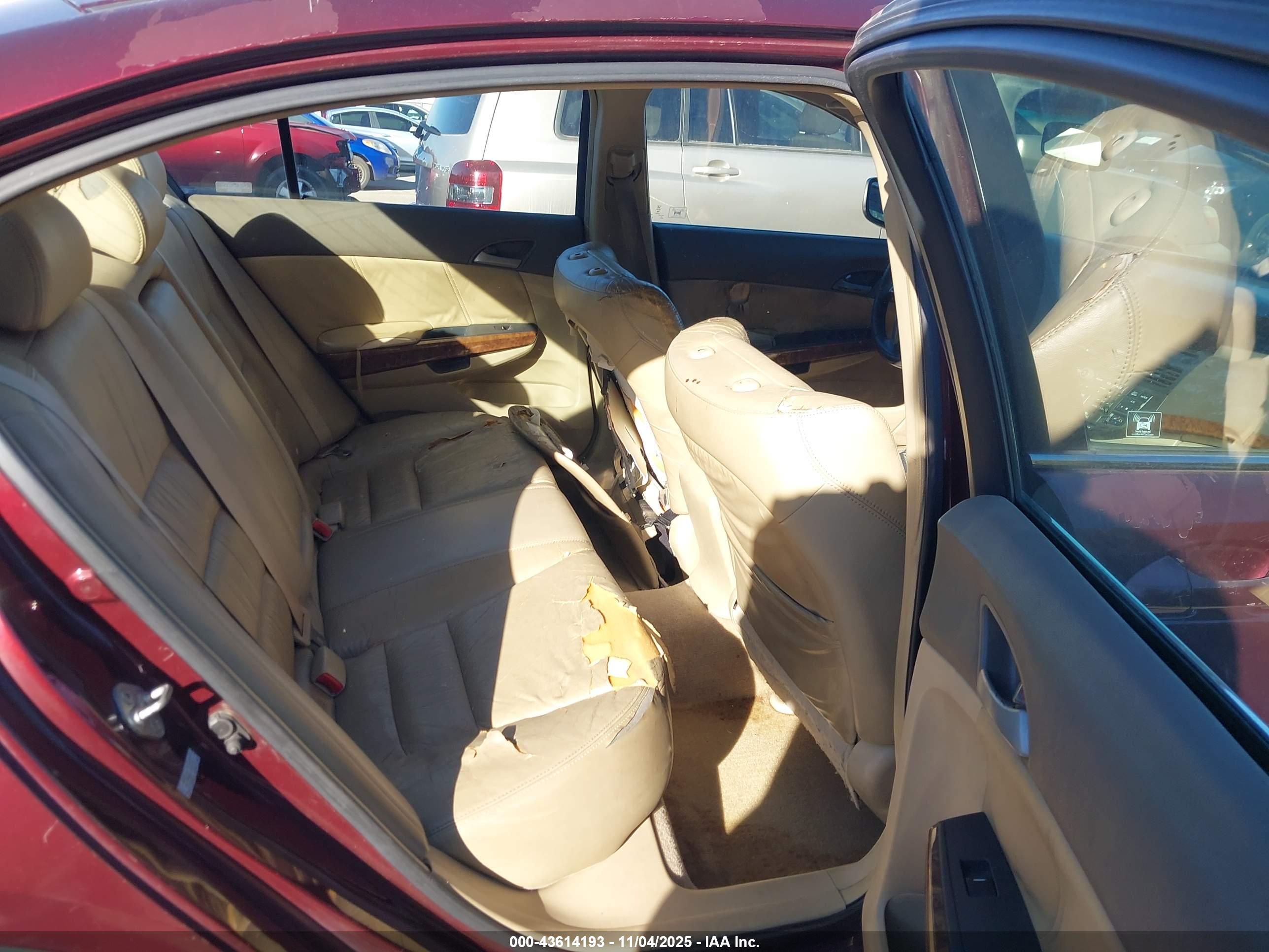 HONDA ACCORD image 8