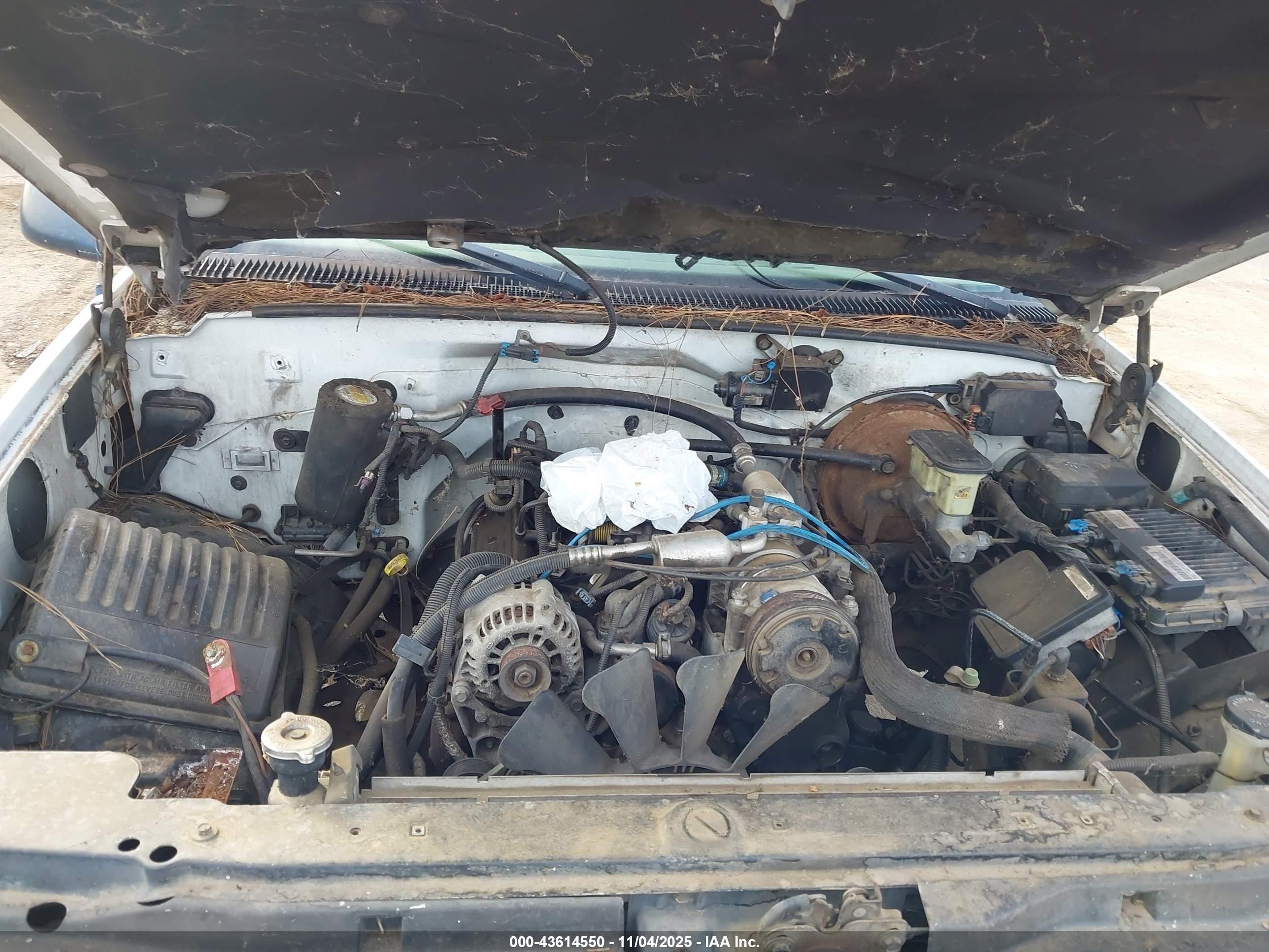 CHEVROLET C1500 image 10