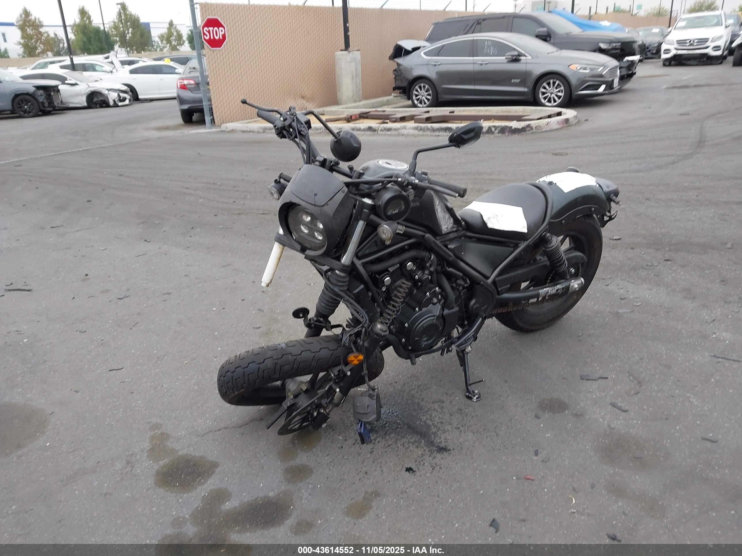 HONDA CMX500 image 2