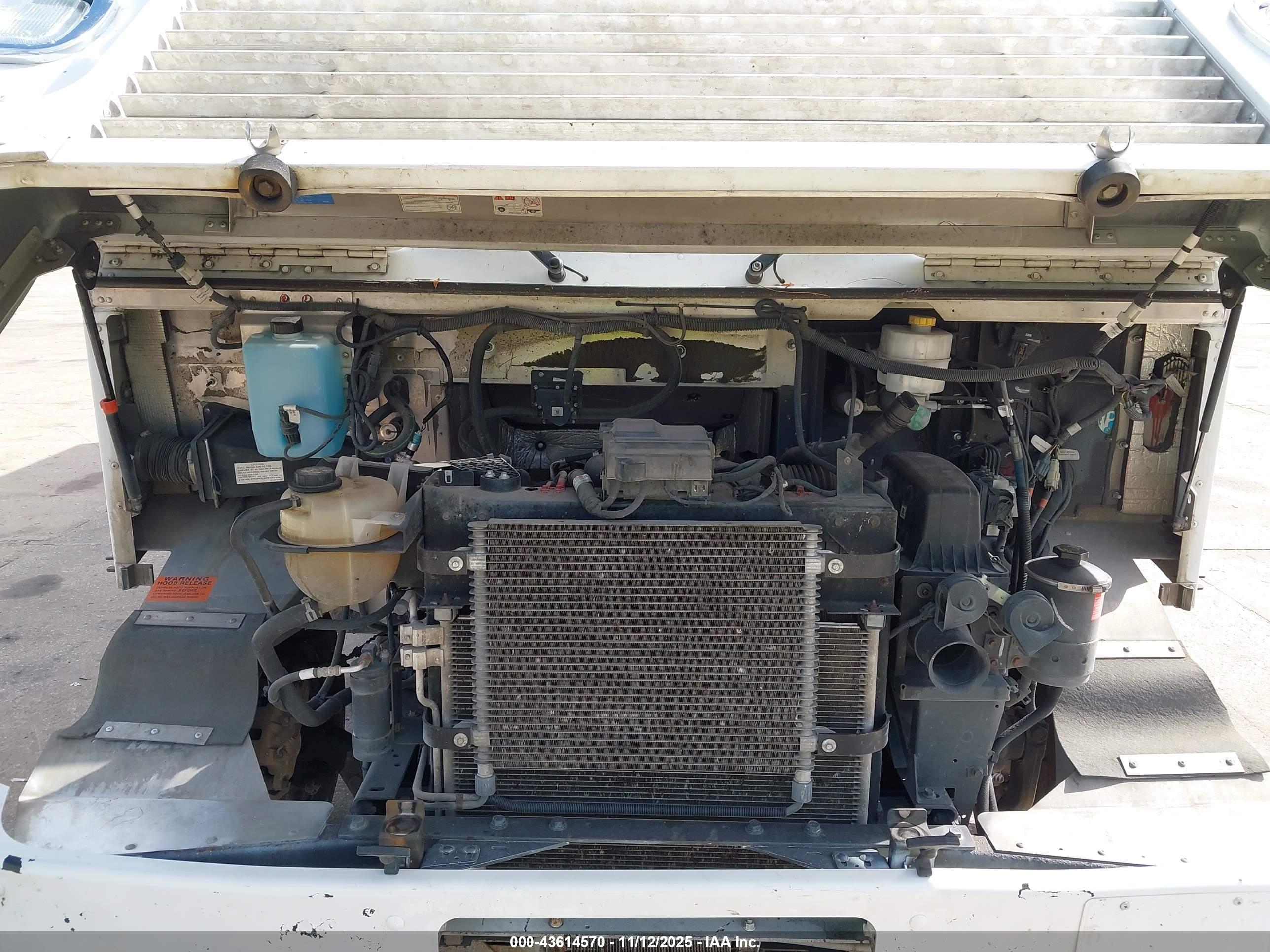 FORD F-59 image 10