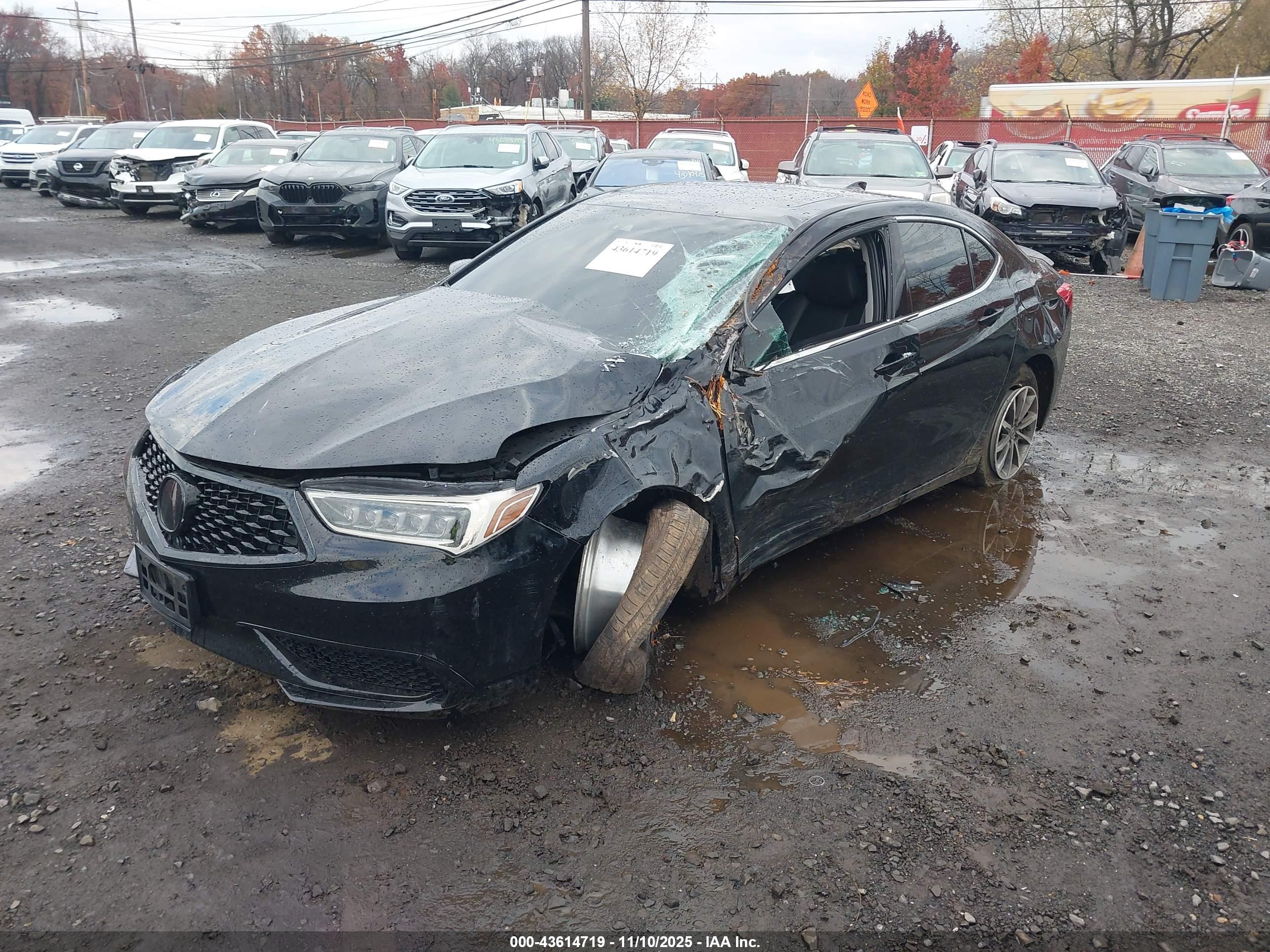 ACURA TLX image 6