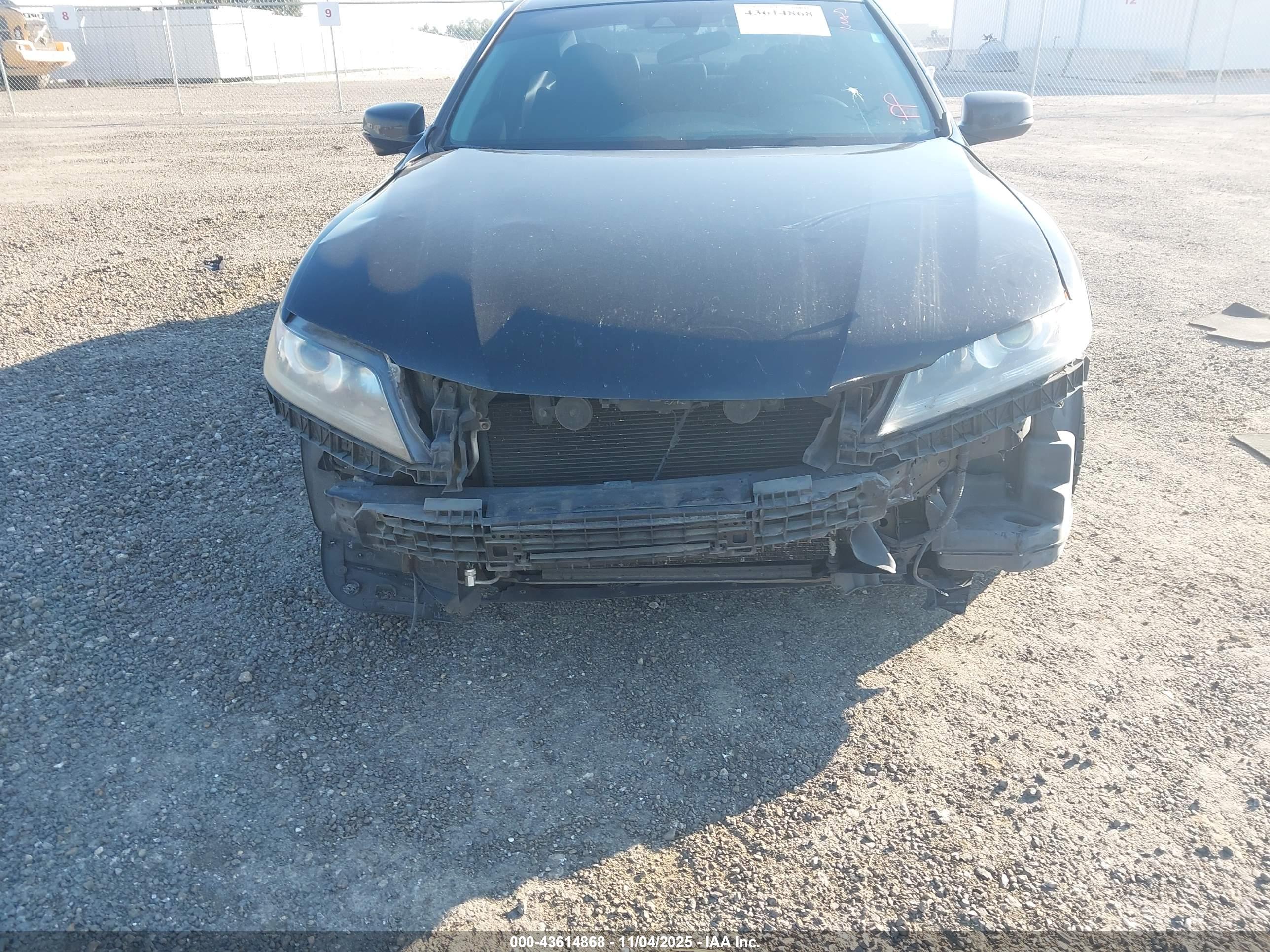 HONDA ACCORD image 6