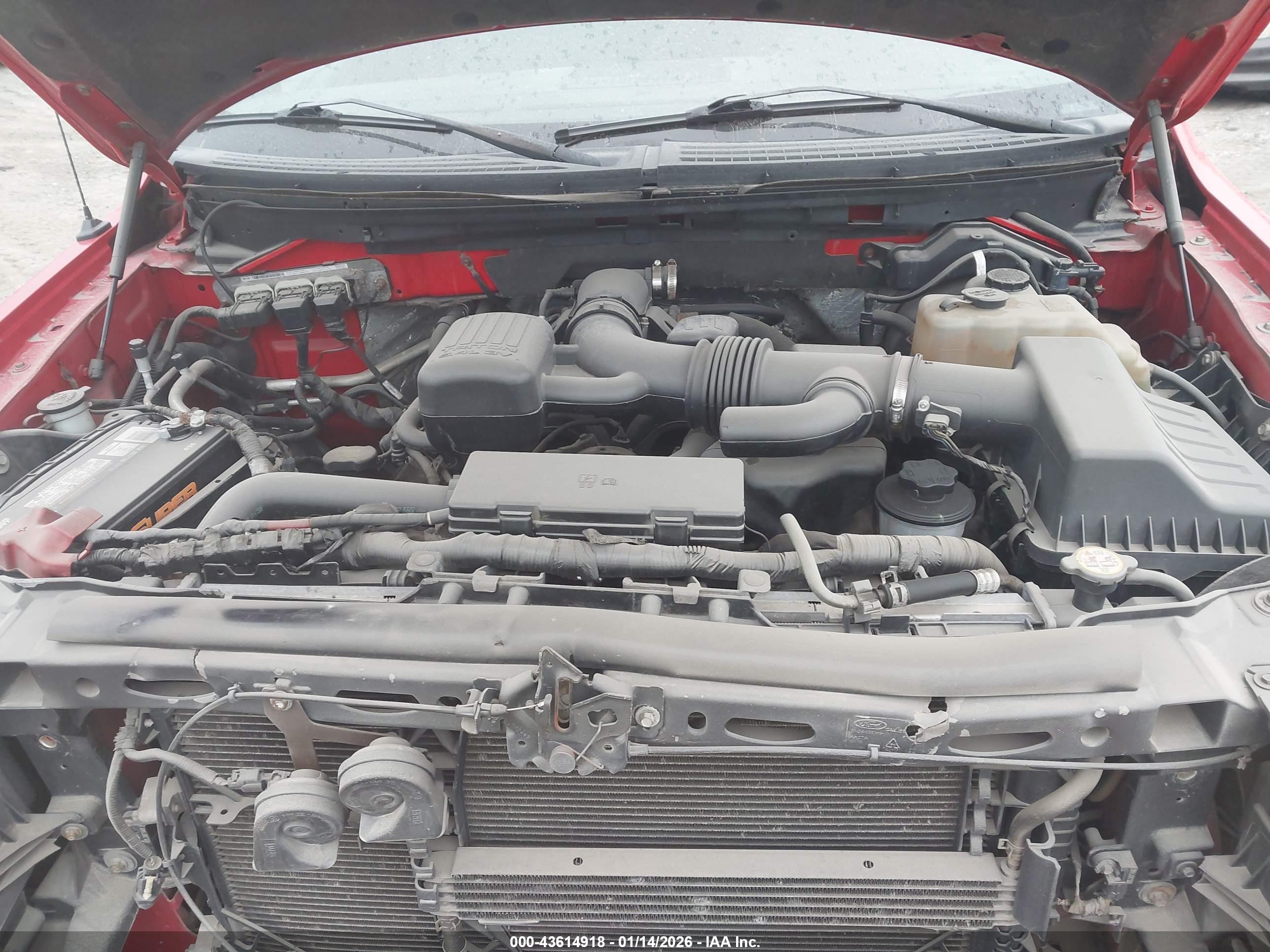 FORD F-150 image 10