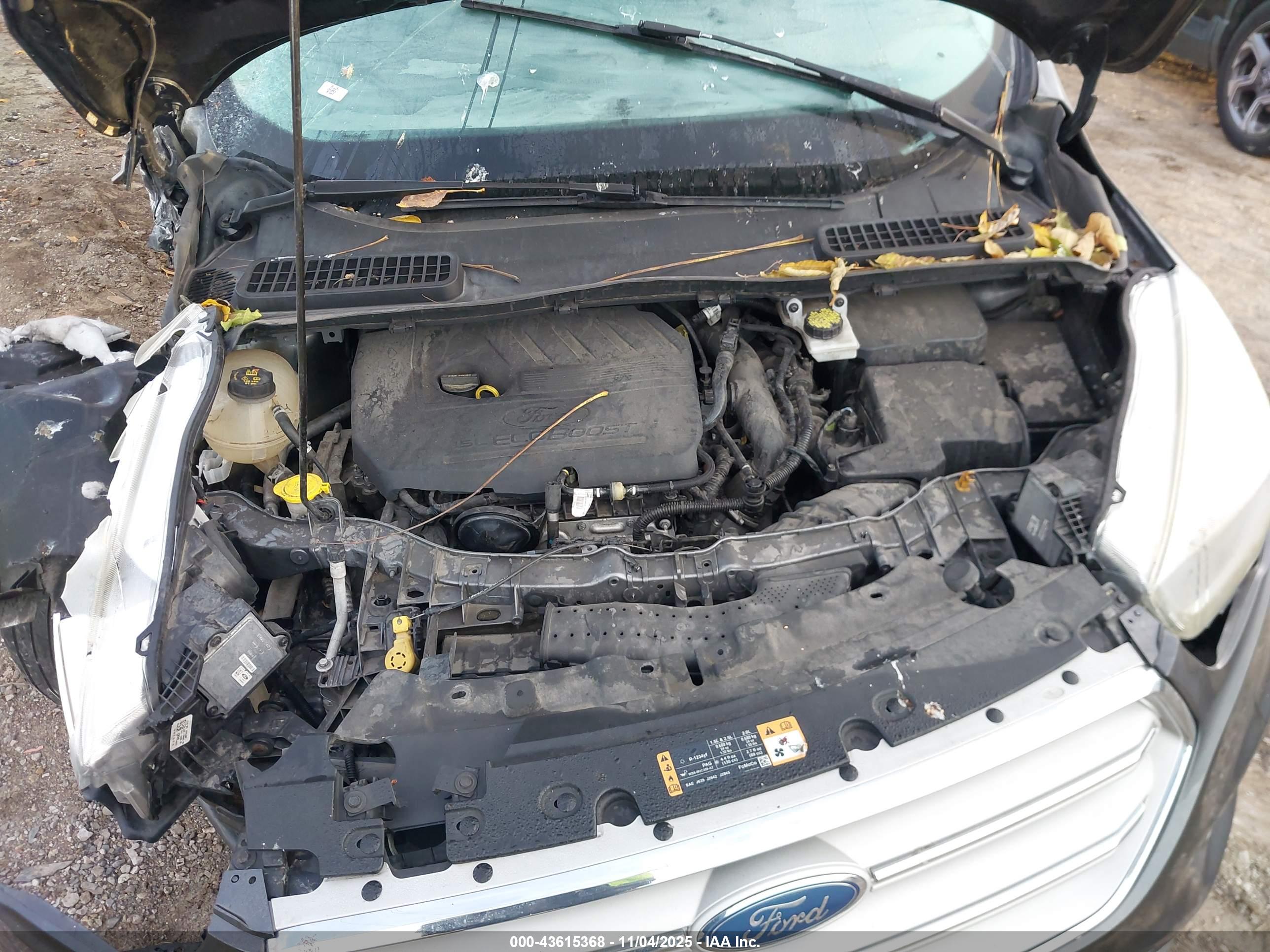 FORD ESCAPE image 10