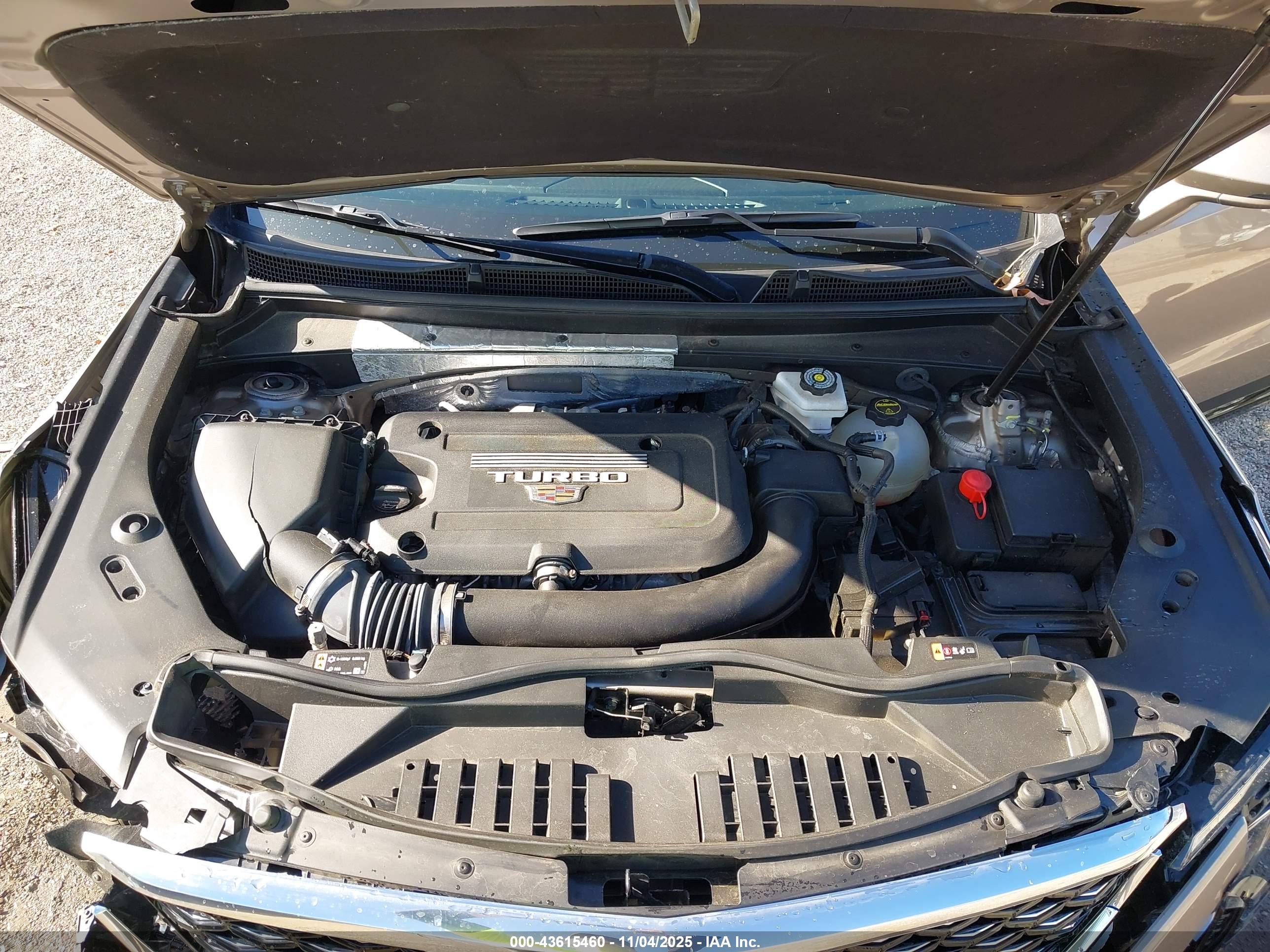 CADILLAC XT4 image 10
