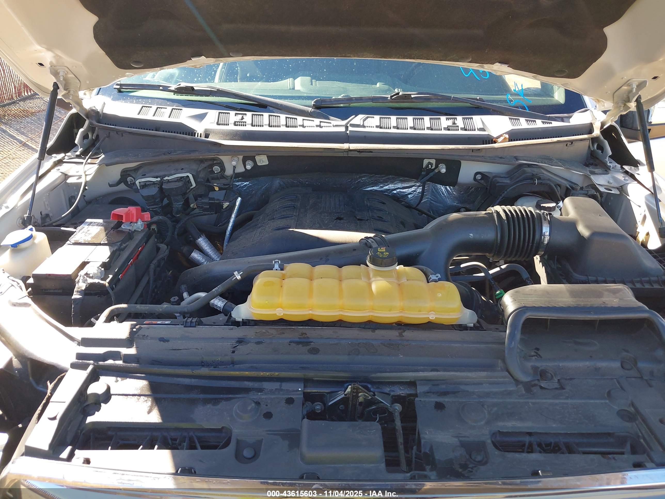FORD F-150 image 10