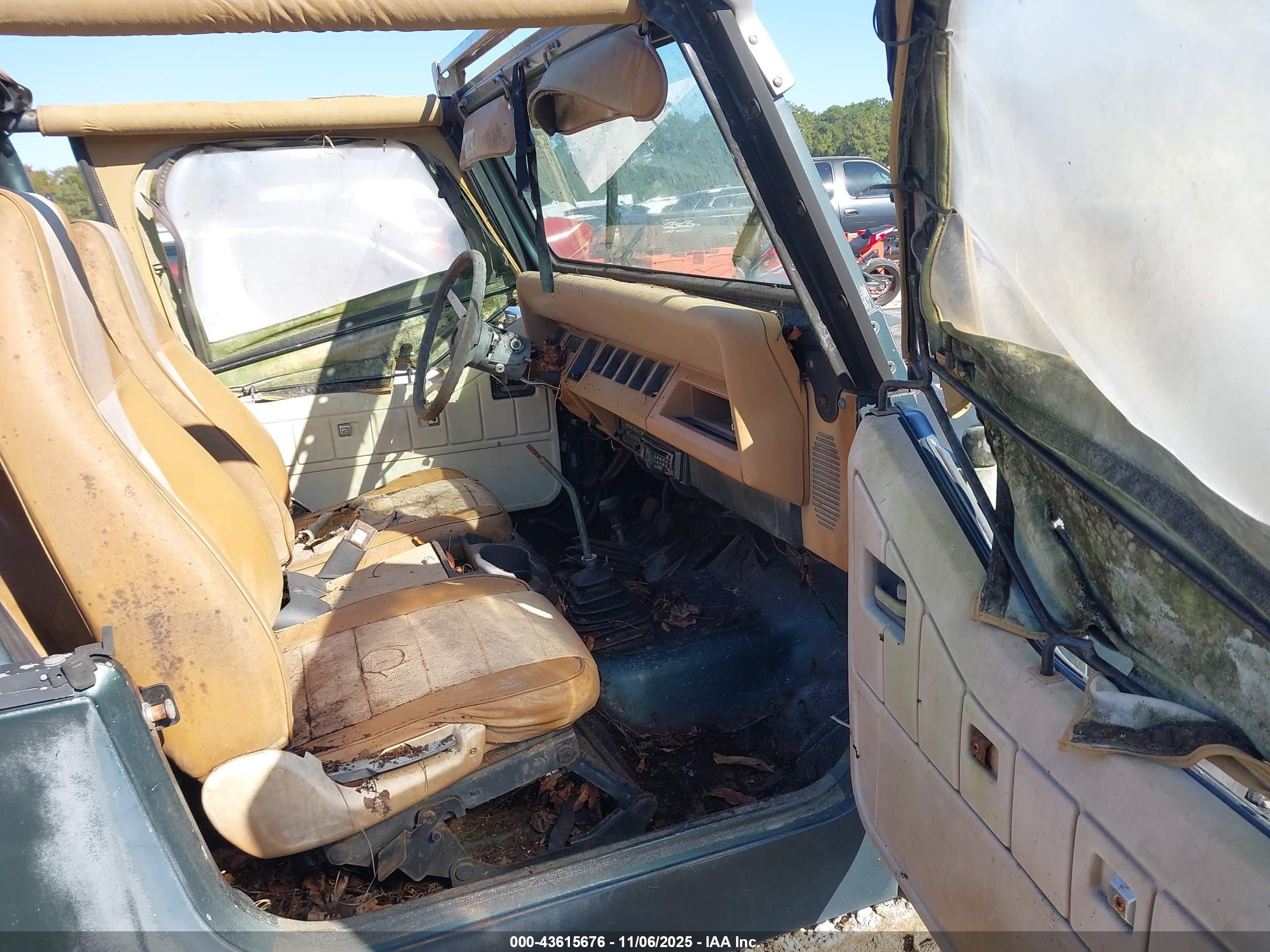 JEEP WRANGLER image 5
