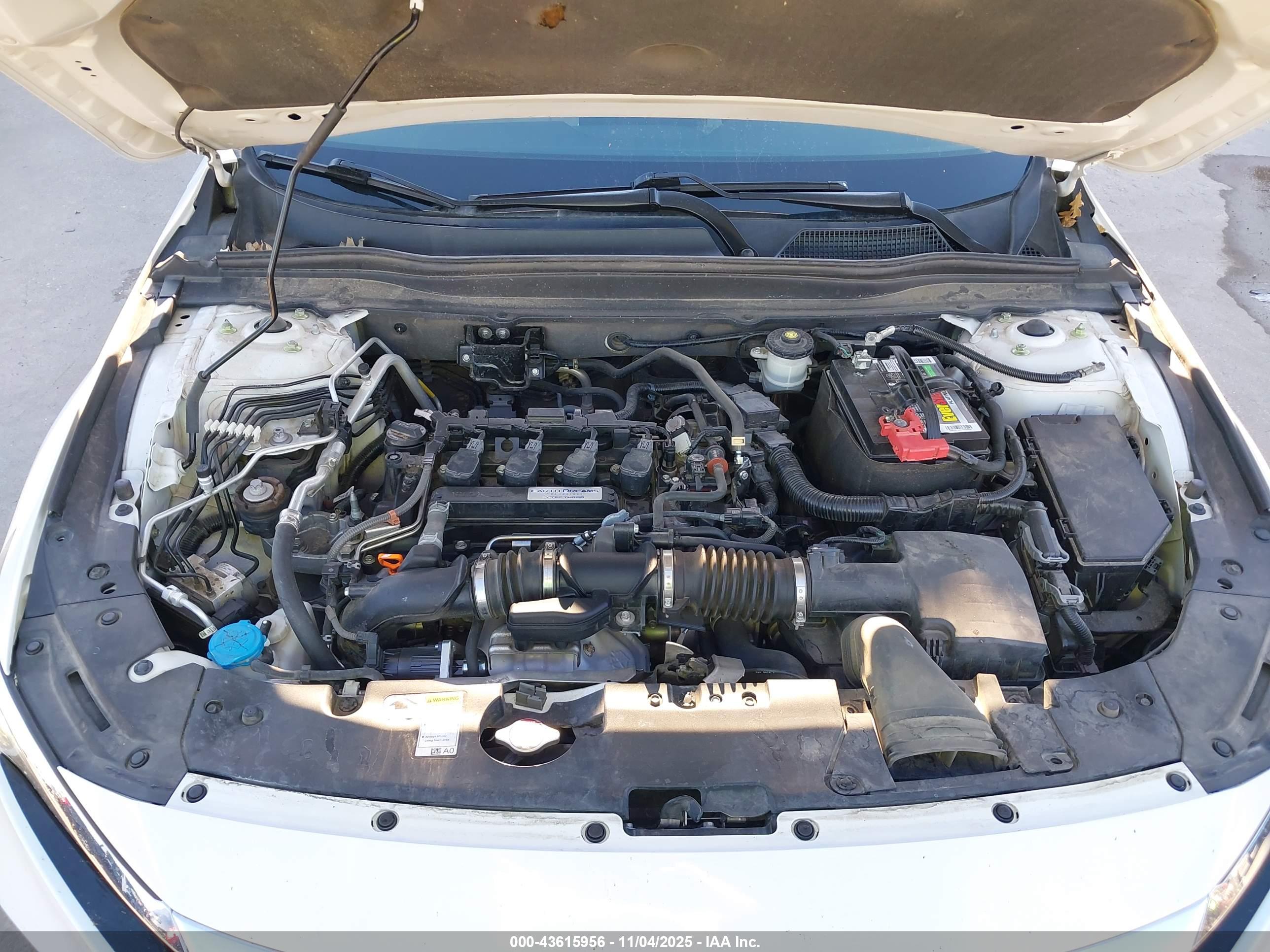HONDA ACCORD image 10