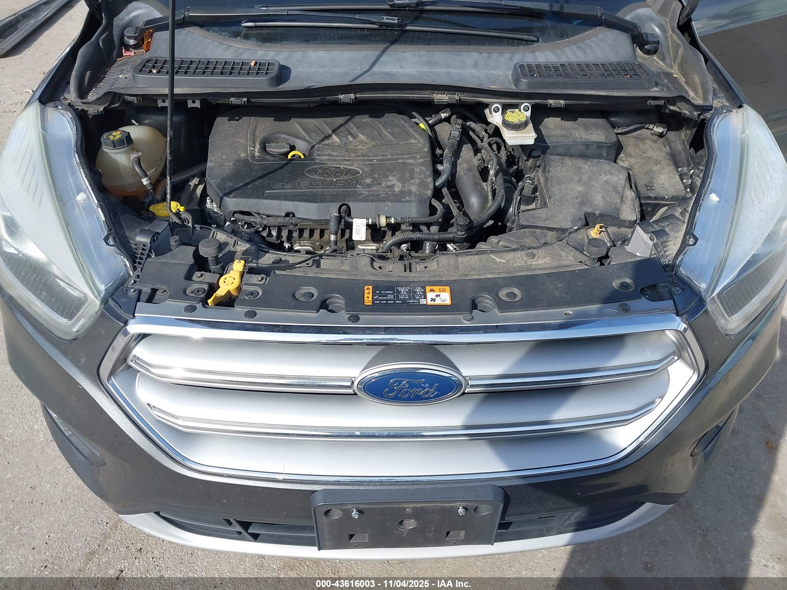 FORD ESCAPE image 10