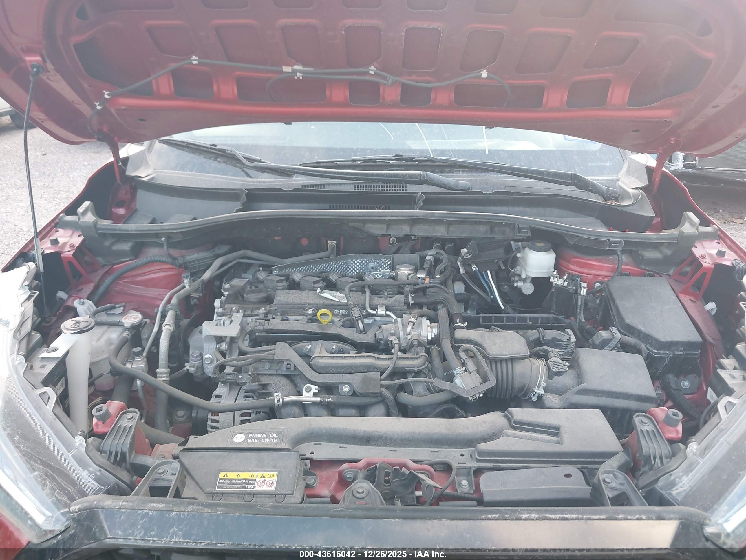 TOYOTA COROLLA image 10