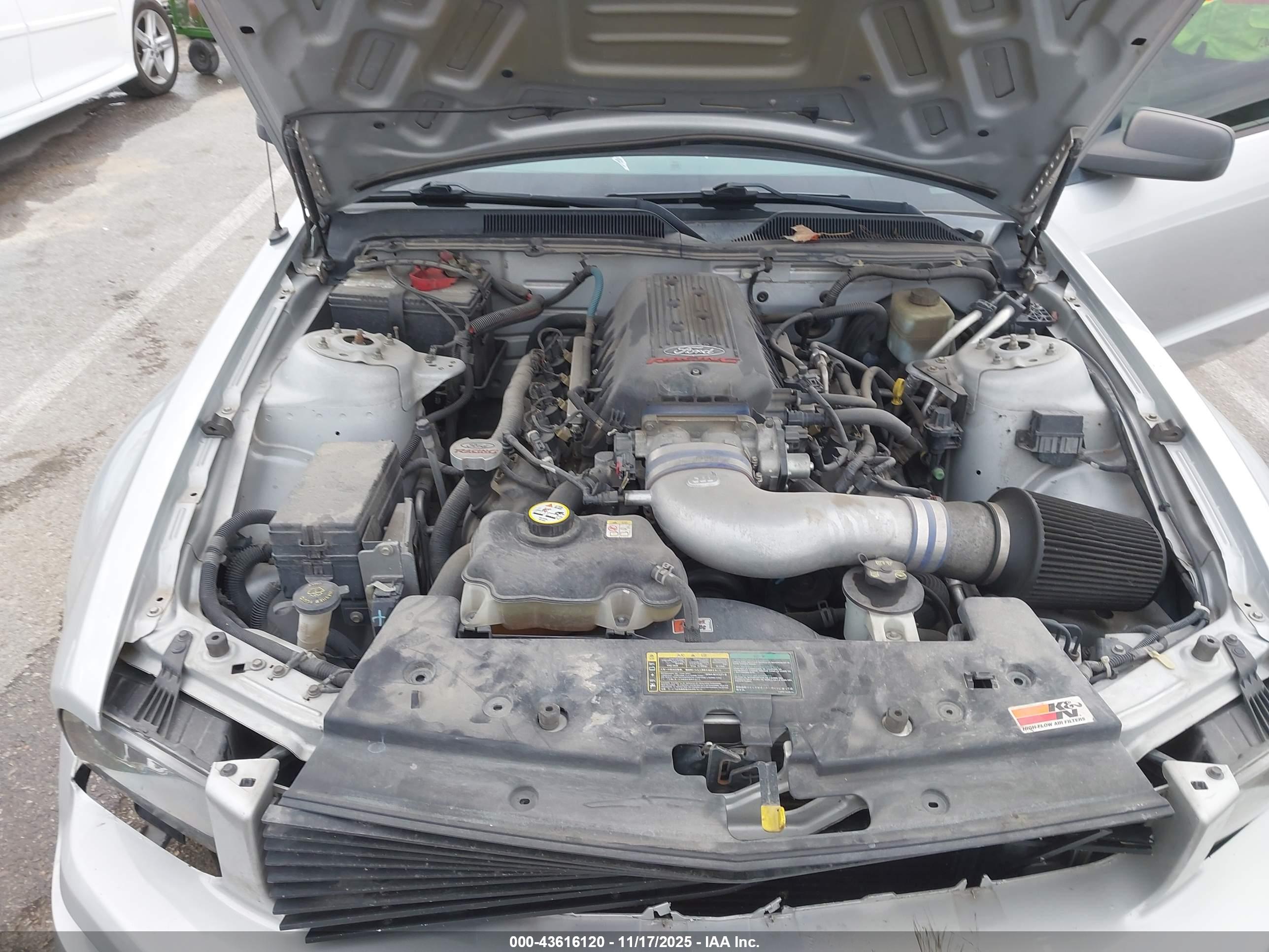FORD MUSTANG image 10